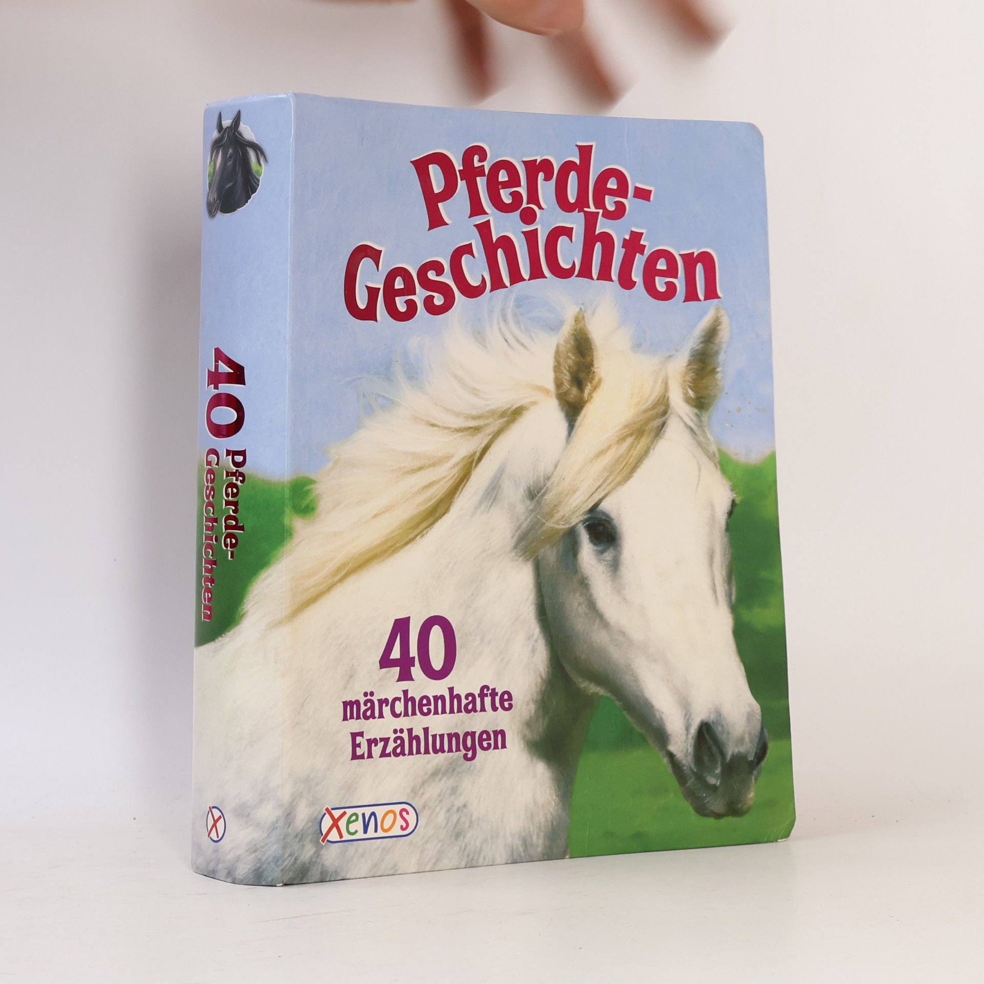 Autorenkollektiv Die schönsten Pferde-Geschichten