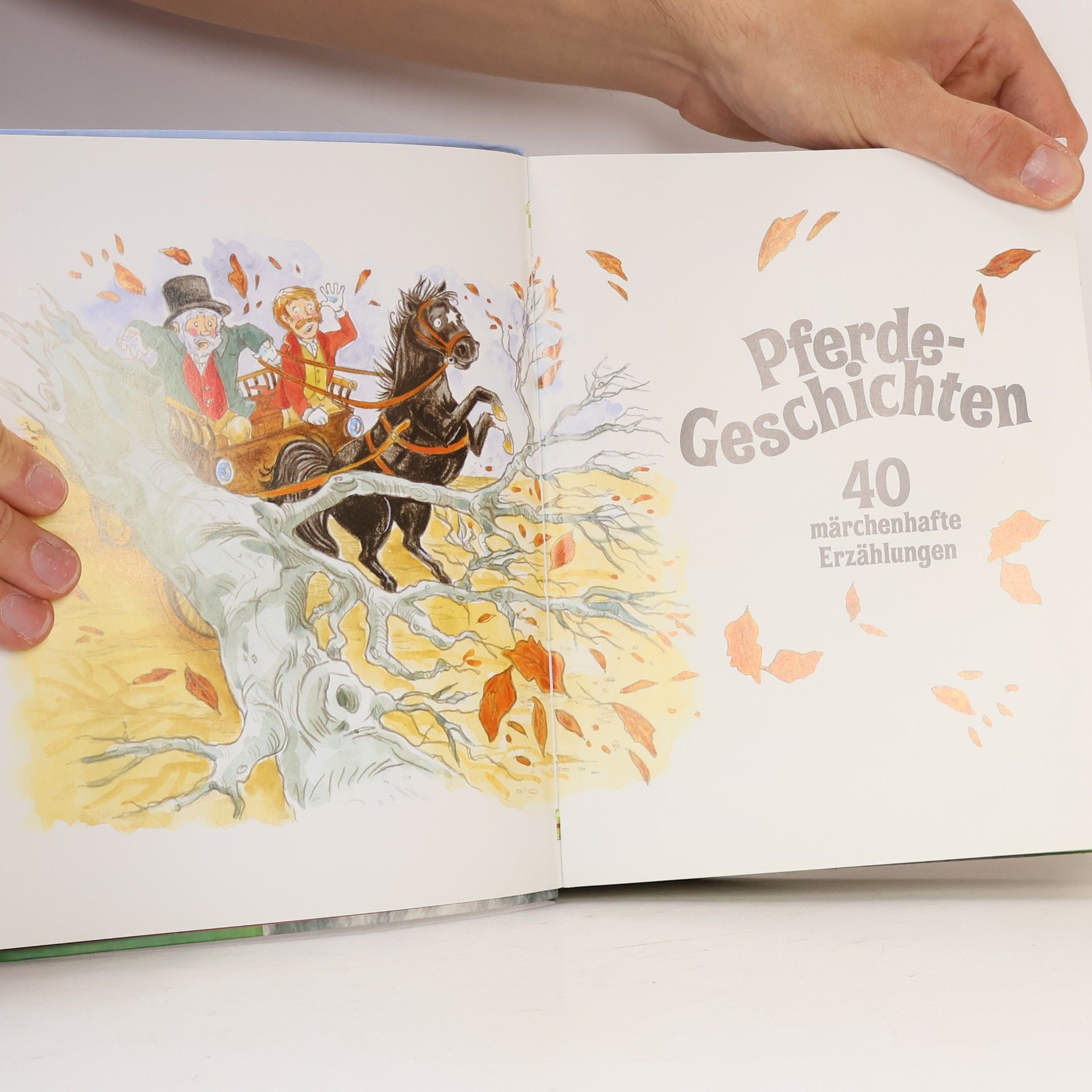 Autorenkollektiv Die schönsten Pferde-Geschichten