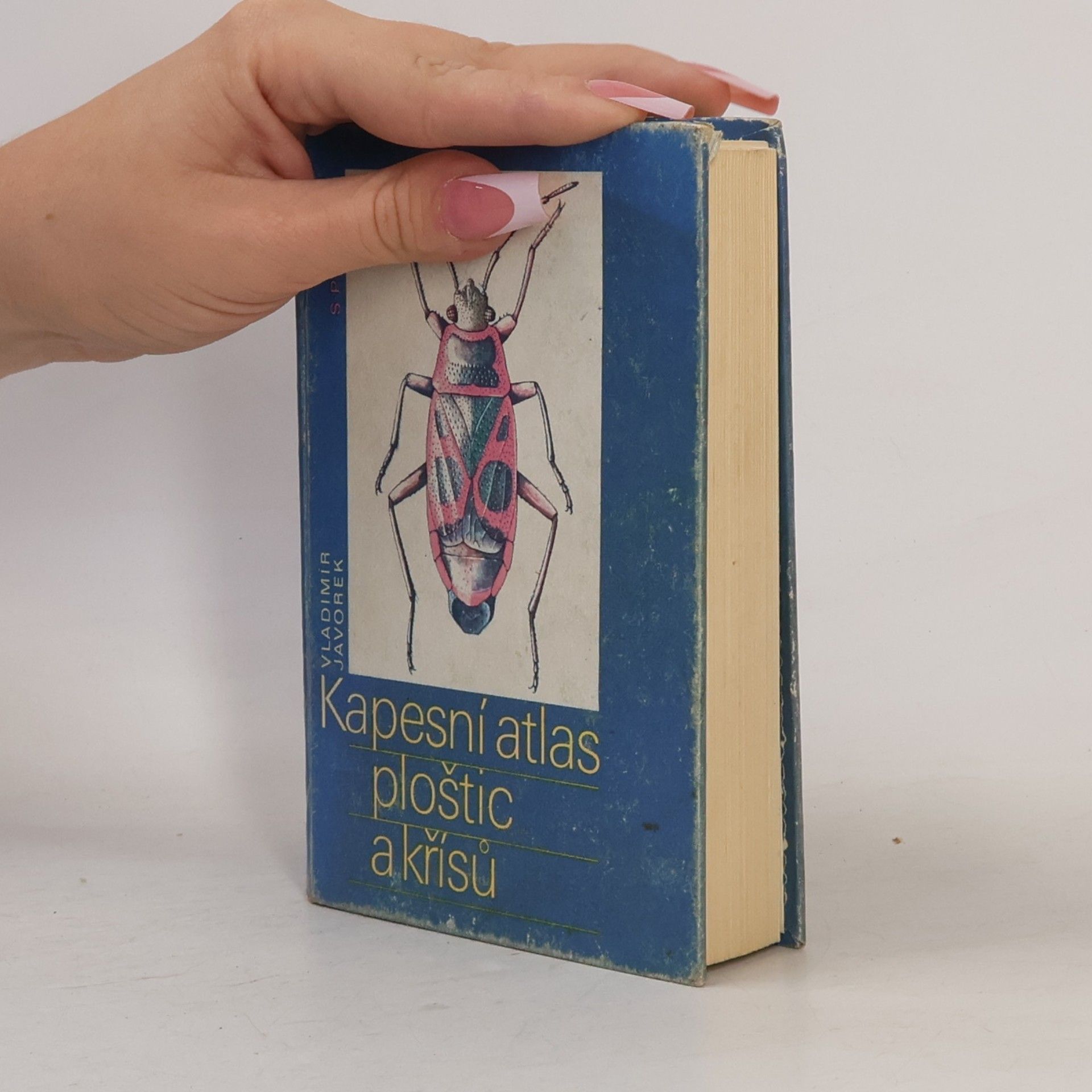 Vladimír Javorek Kapesní atlas ploštic a křísů