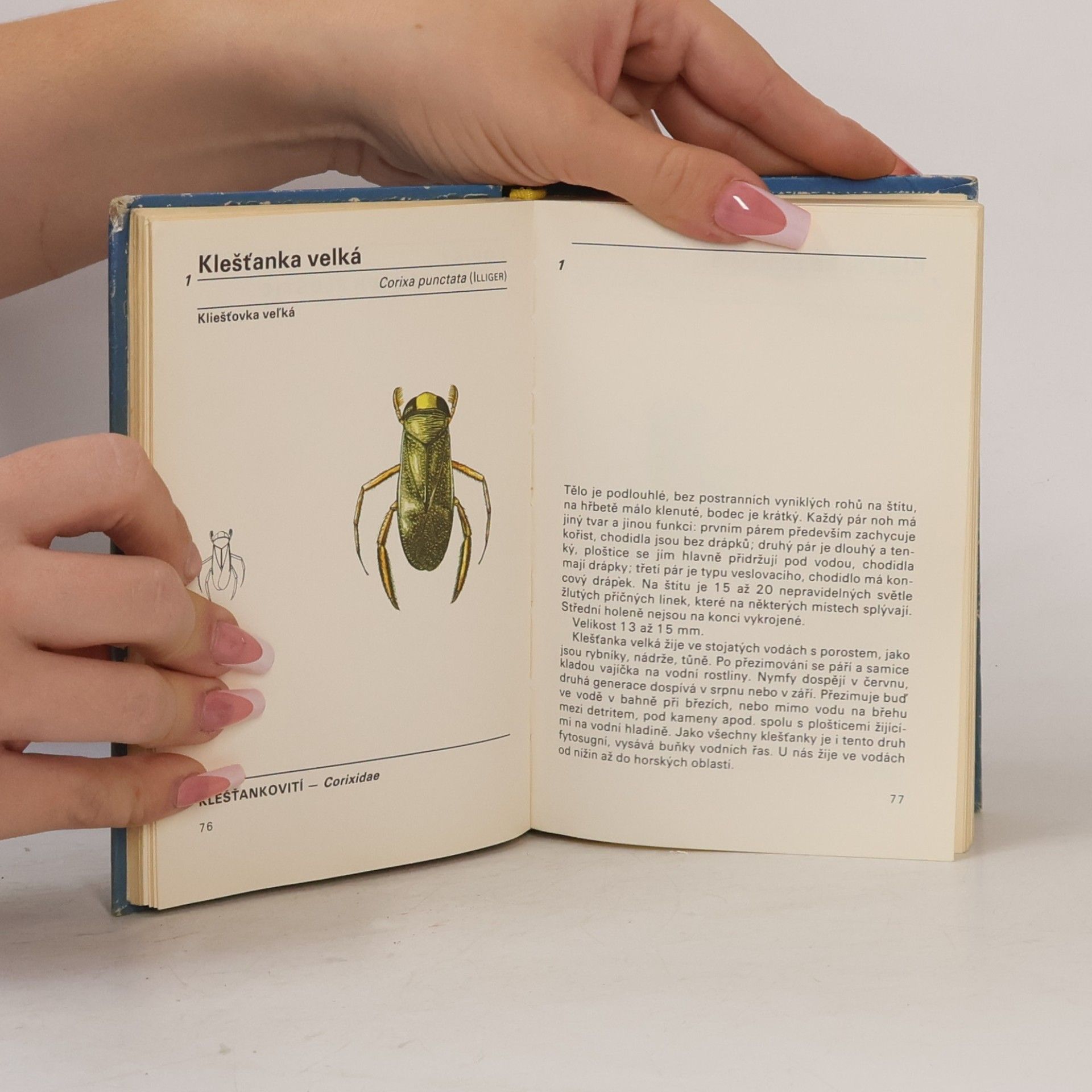 Vladimír Javorek Kapesní atlas ploštic a křísů