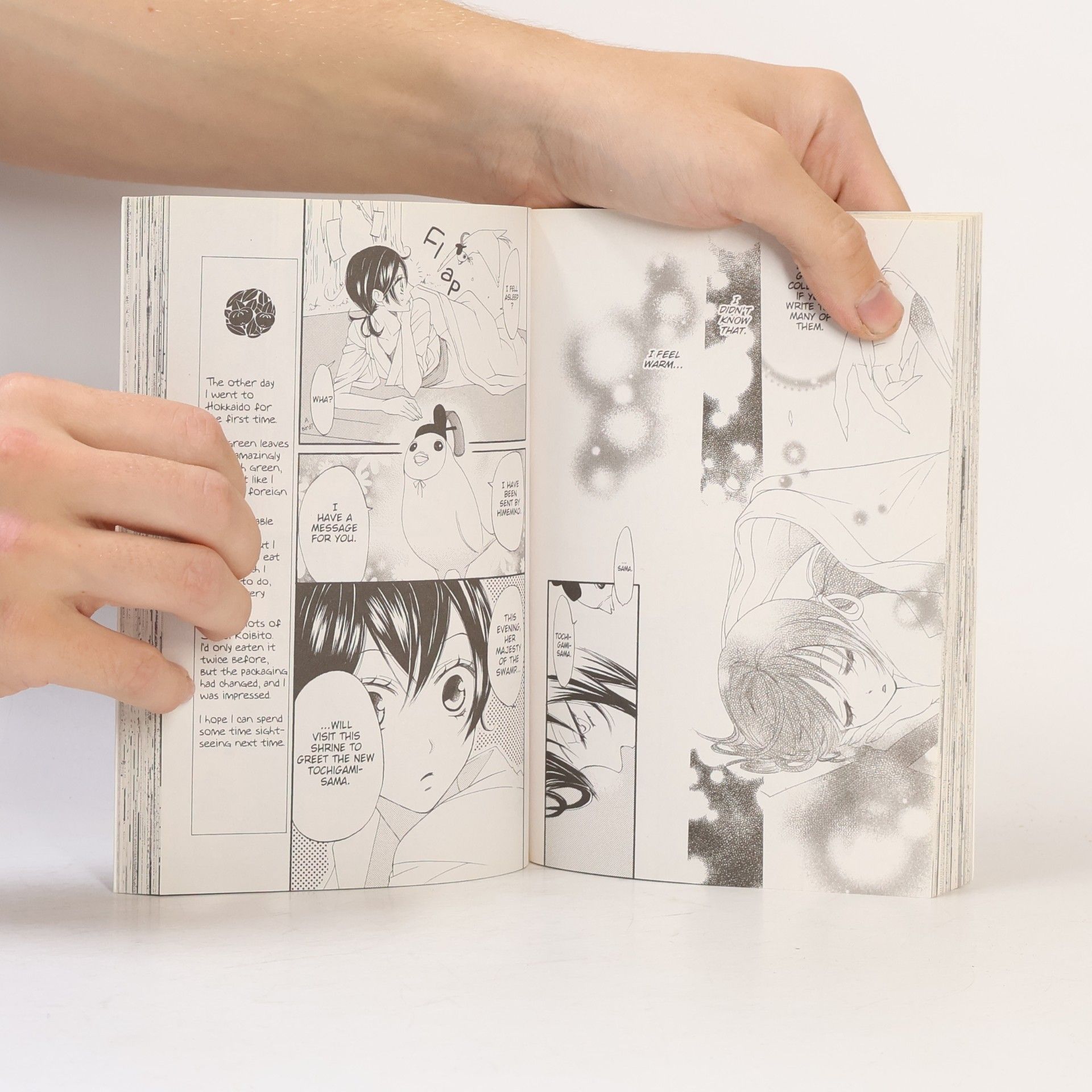 Julietta Suzuki Kamisama kiss vol. 1
