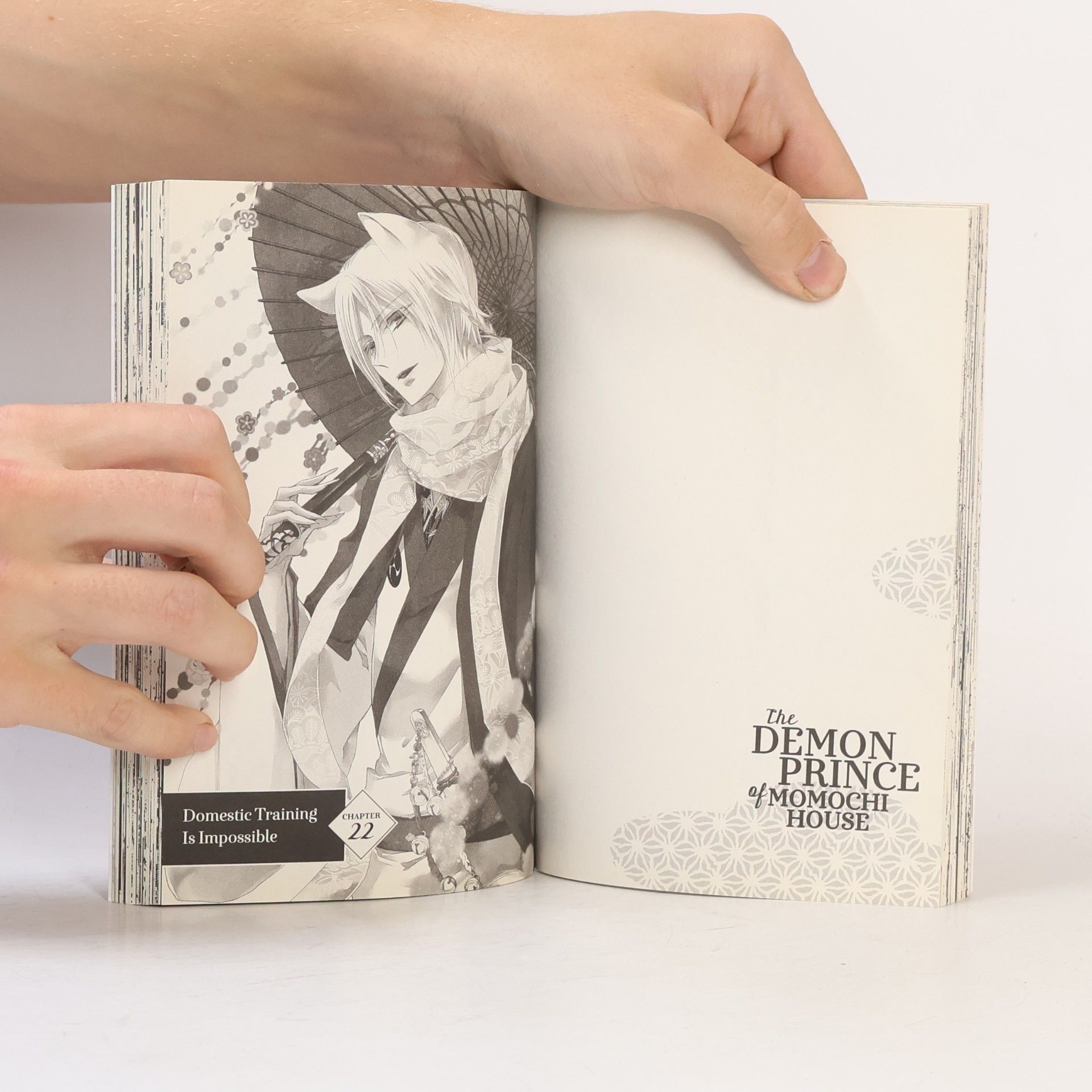 Aya Shōoto The Demon Prince of Momochi House, Vol. 6
