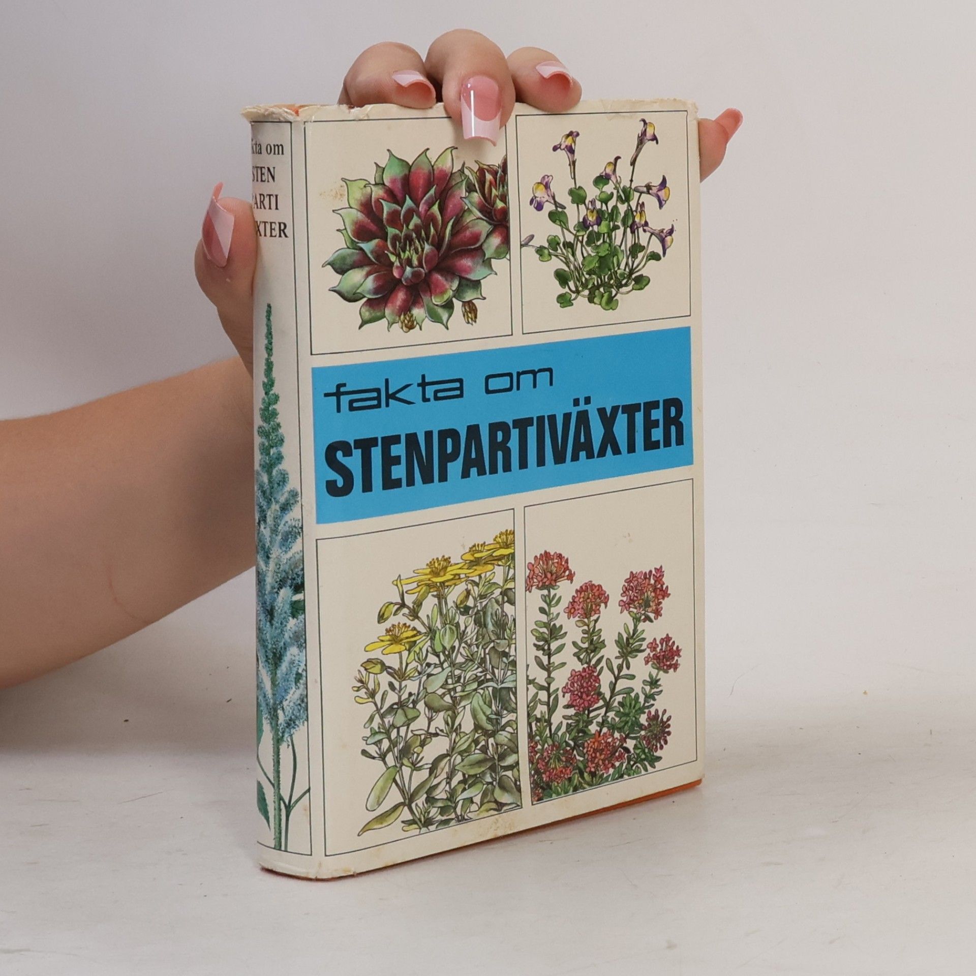 Various authors Fakta om Stenpartiväxter
