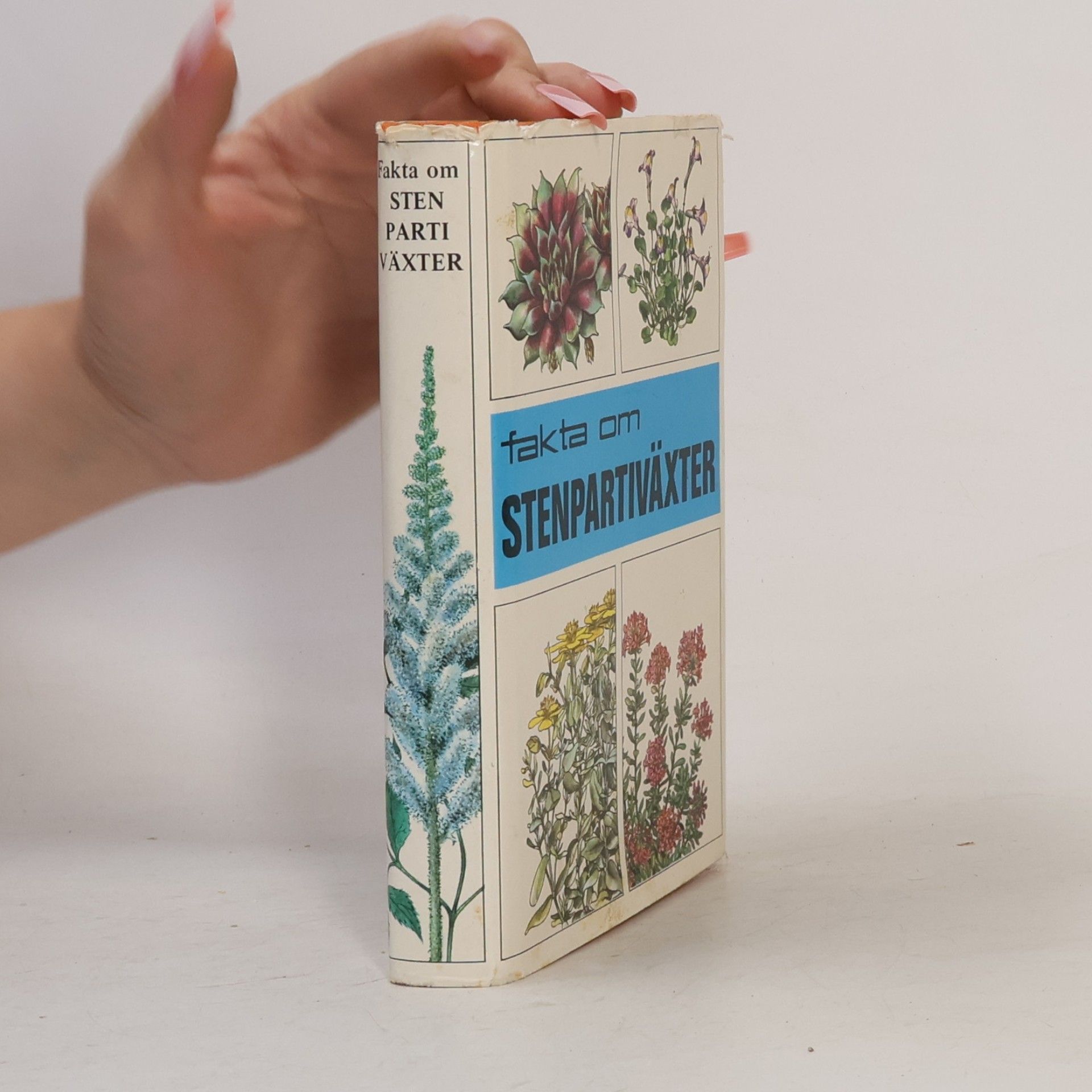 Various authors Fakta om Stenpartiväxter
