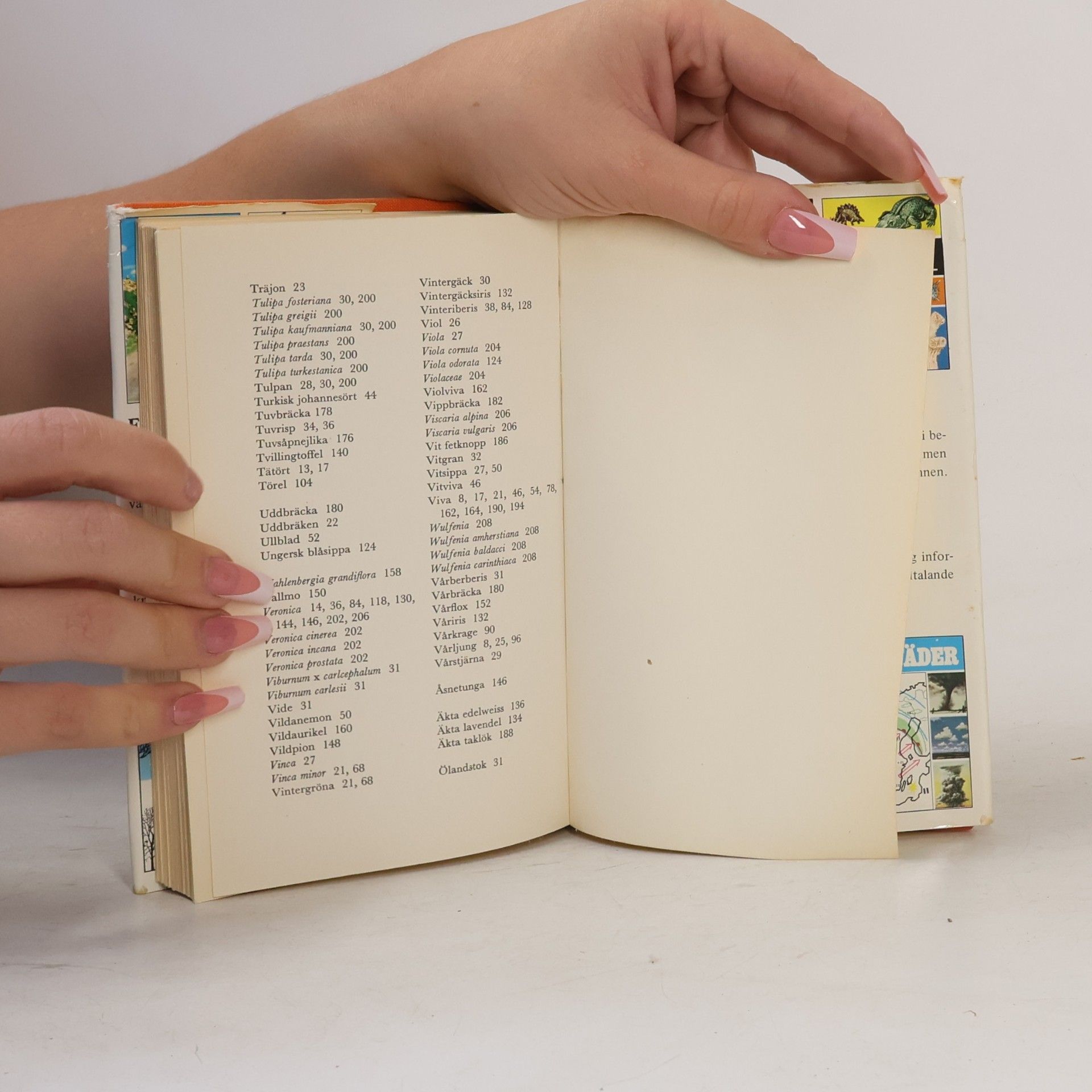 Various authors Fakta om Stenpartiväxter
