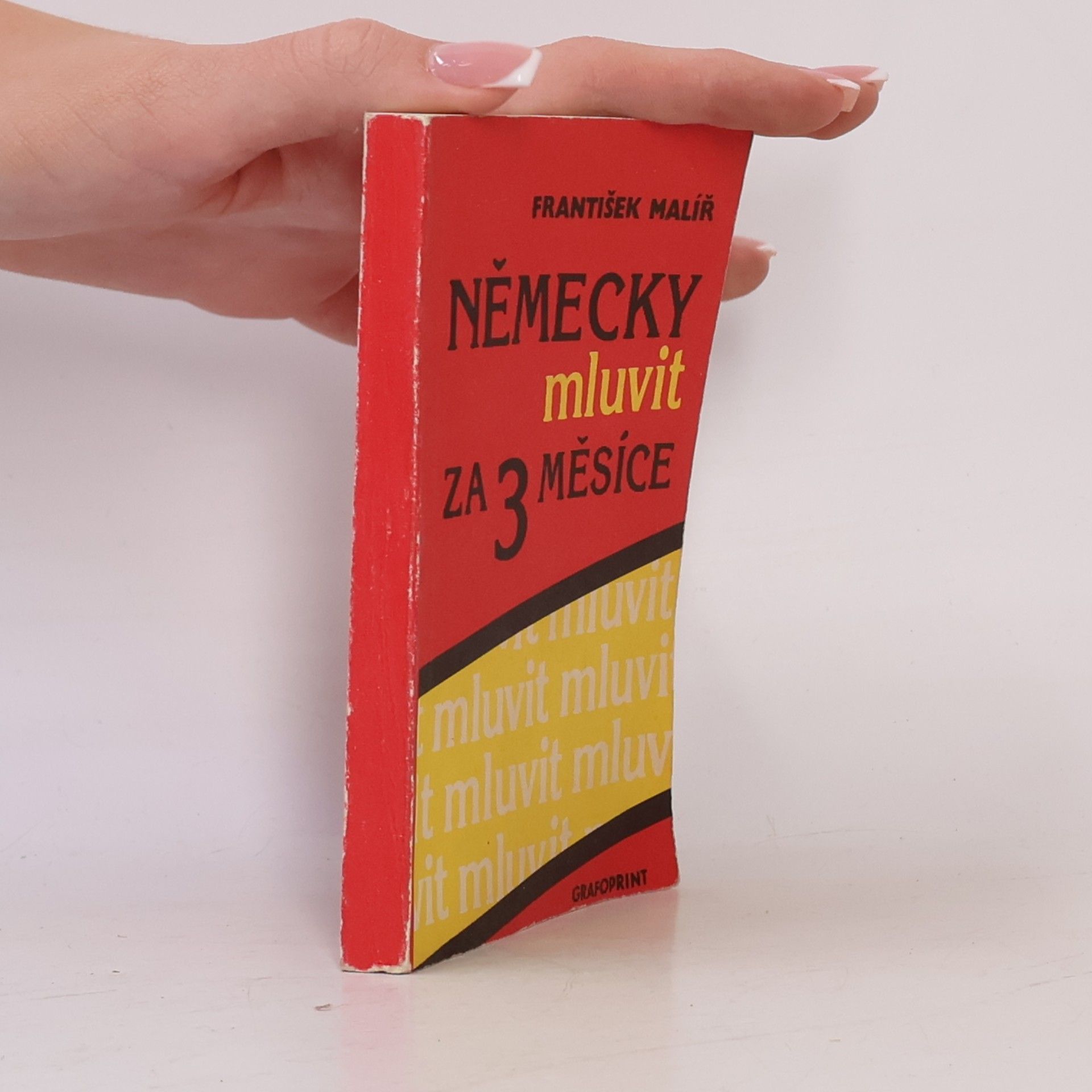 Německy mluvit za 3 měsíce