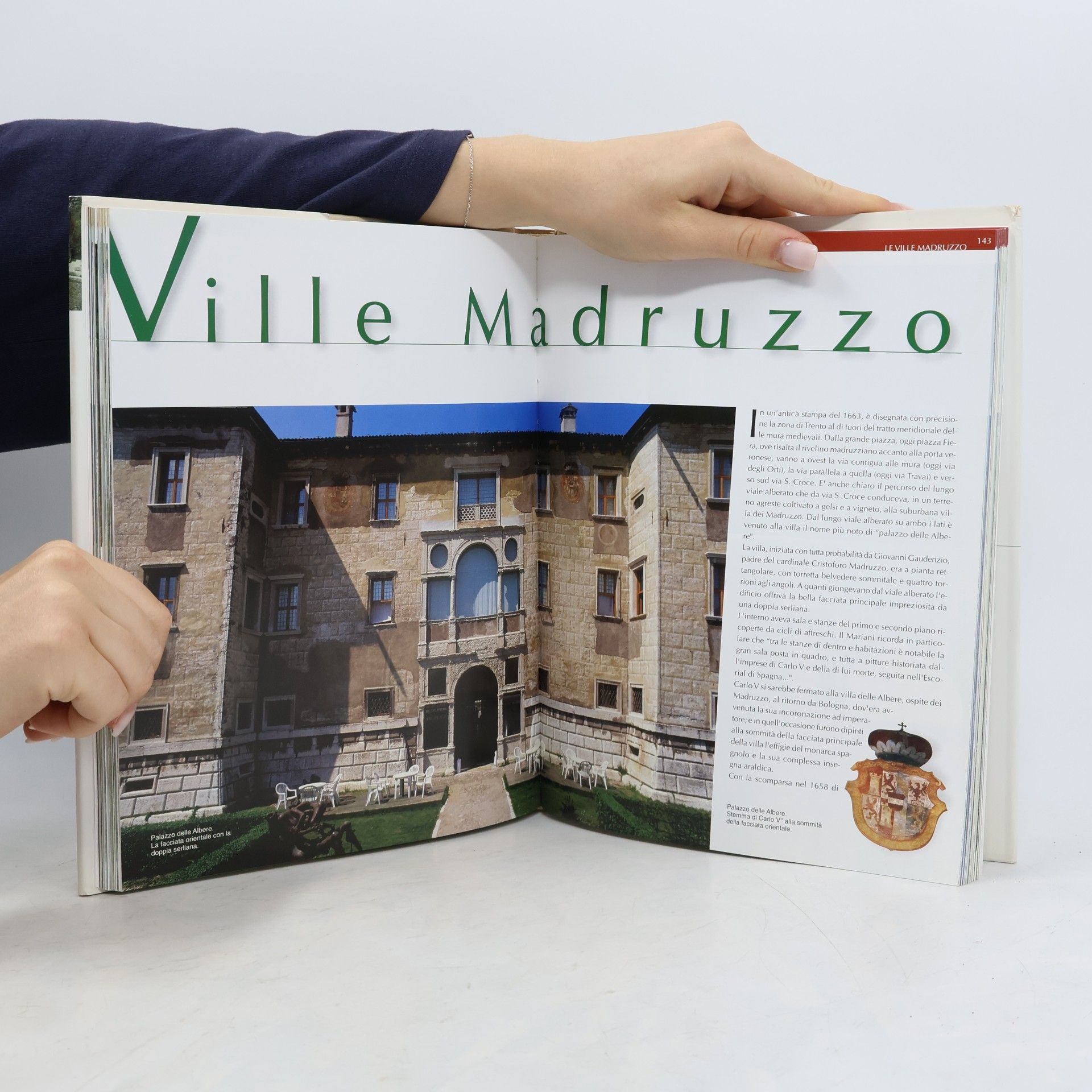 Gian Maria Rauzi Ville trentine. Dal palazzo di città alle ville del contado