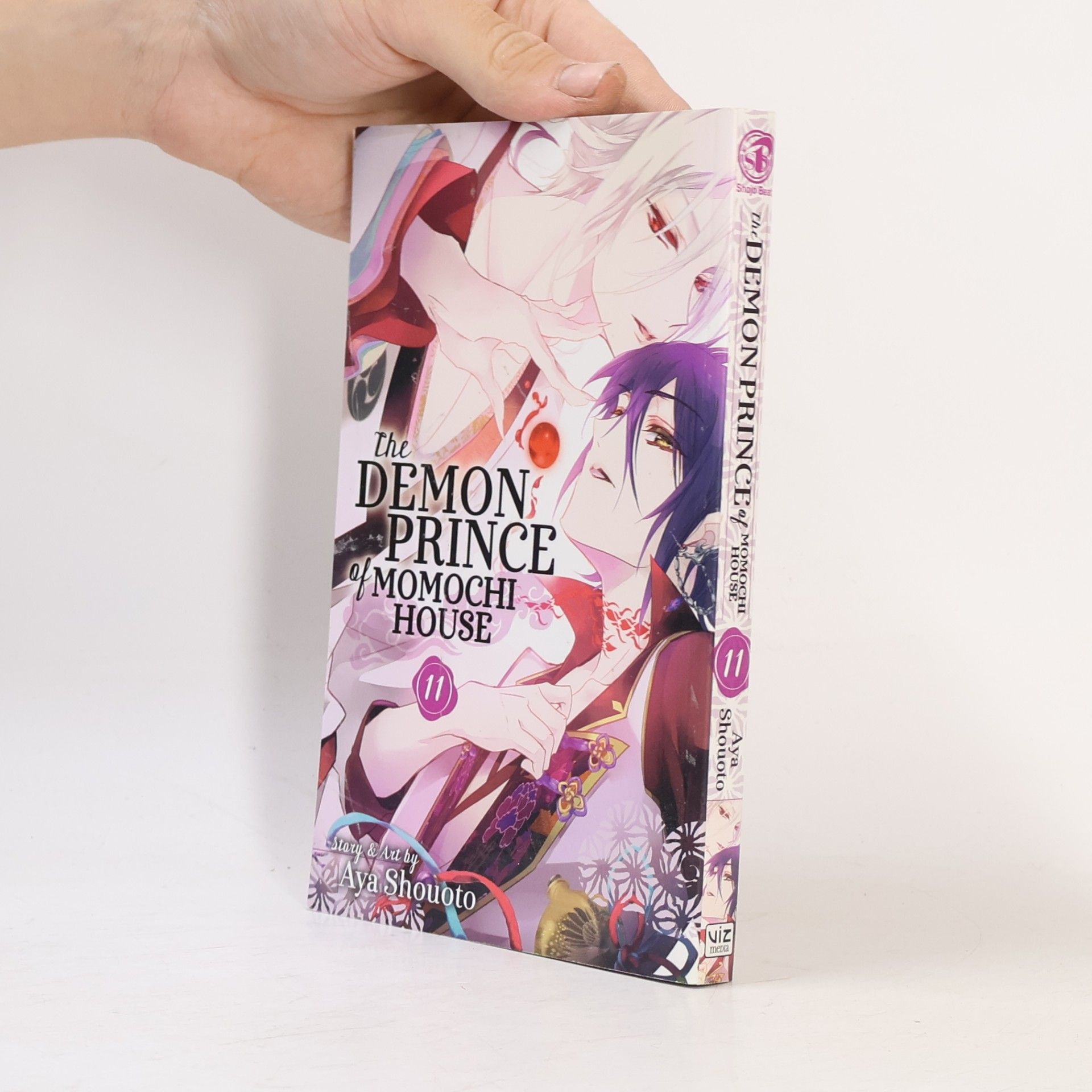 Aya Shouoto The Demon Prince of Momochi House