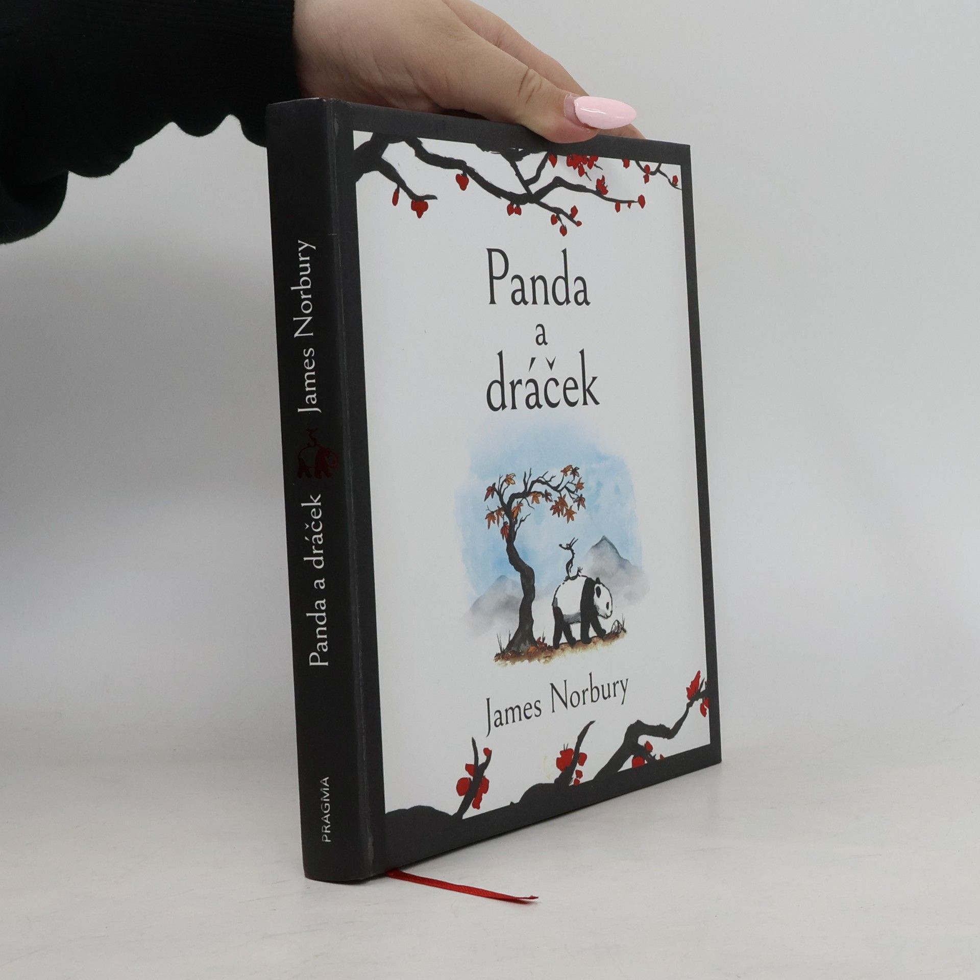 James Norbury Panda a dráček
