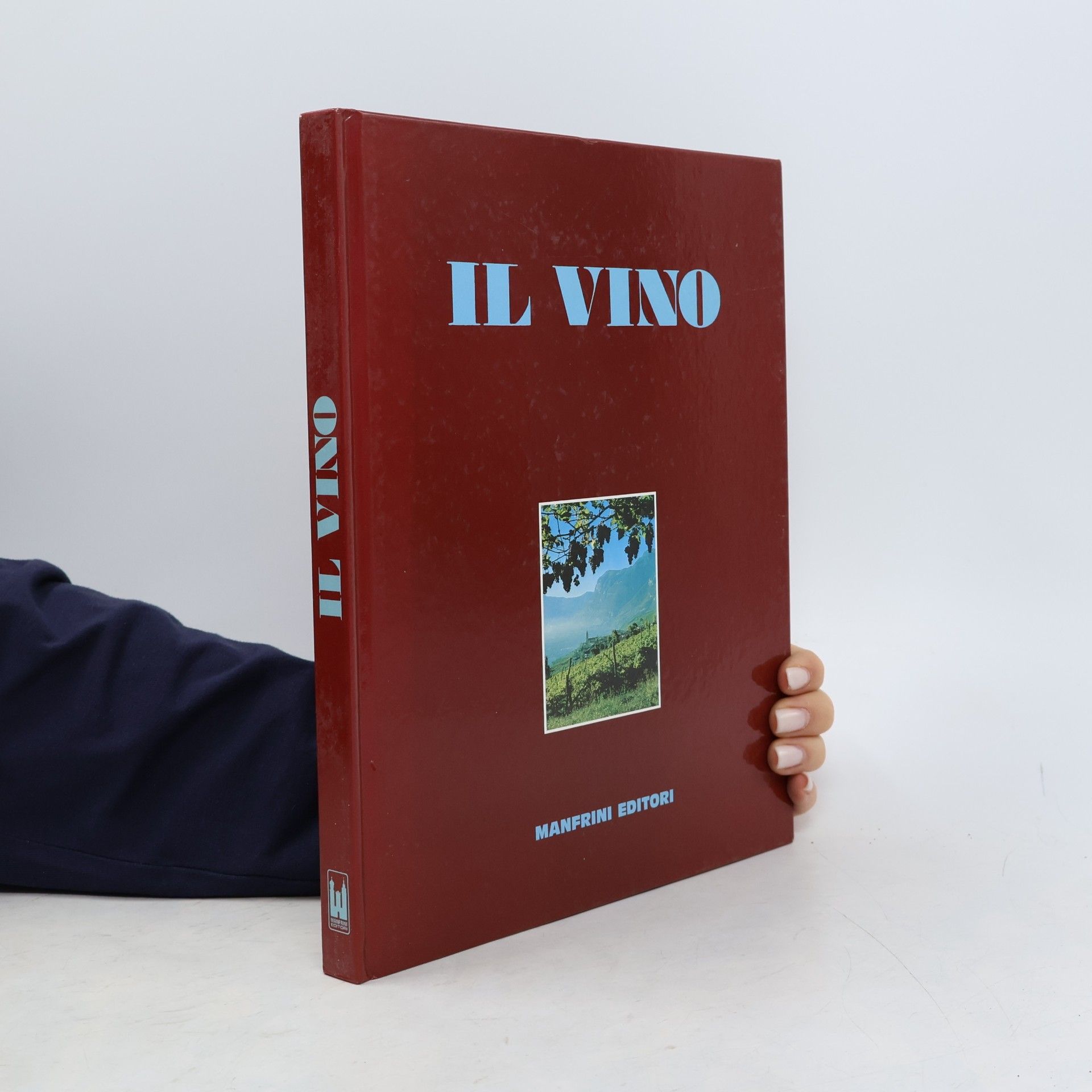 Ilares Gandolfi Il vino