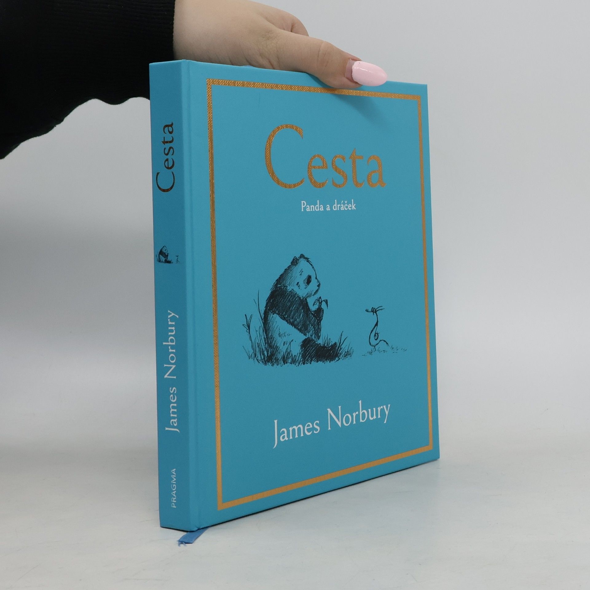 James Norbury Cesta. Panda a dráček