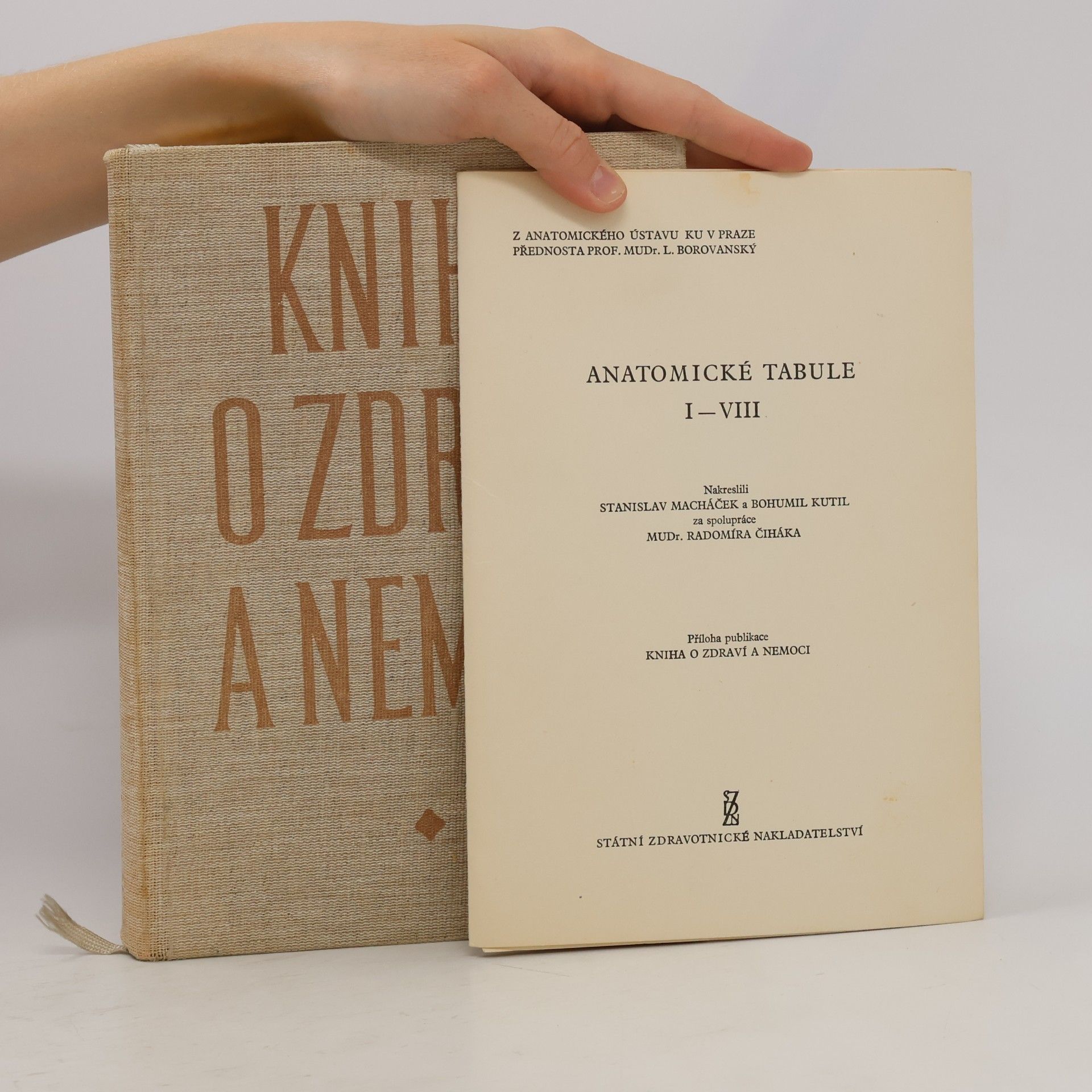 Autorenkollektiv Kniha o zdraví a nemoci