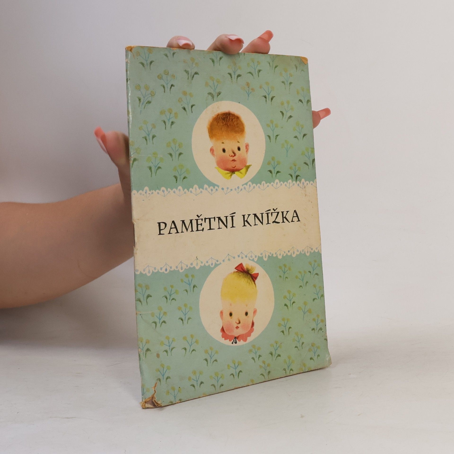 Autorenkollektiv Pamětní knížka