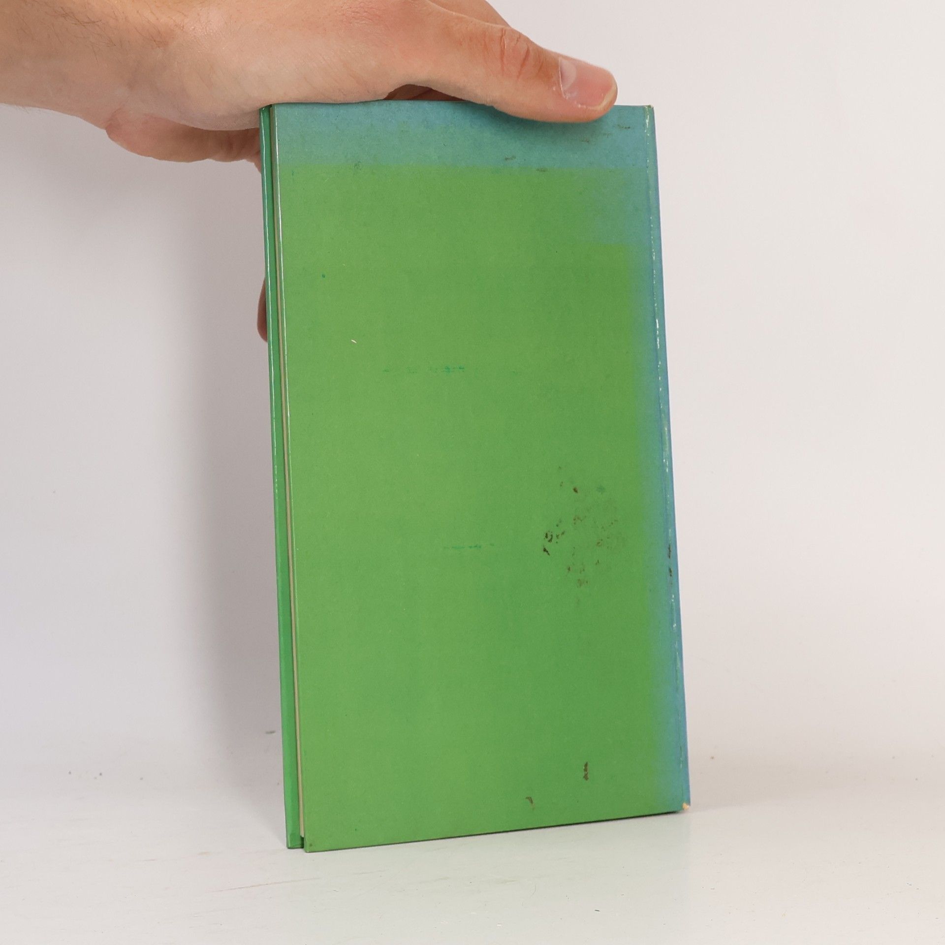 Karl Rauch Die Palette