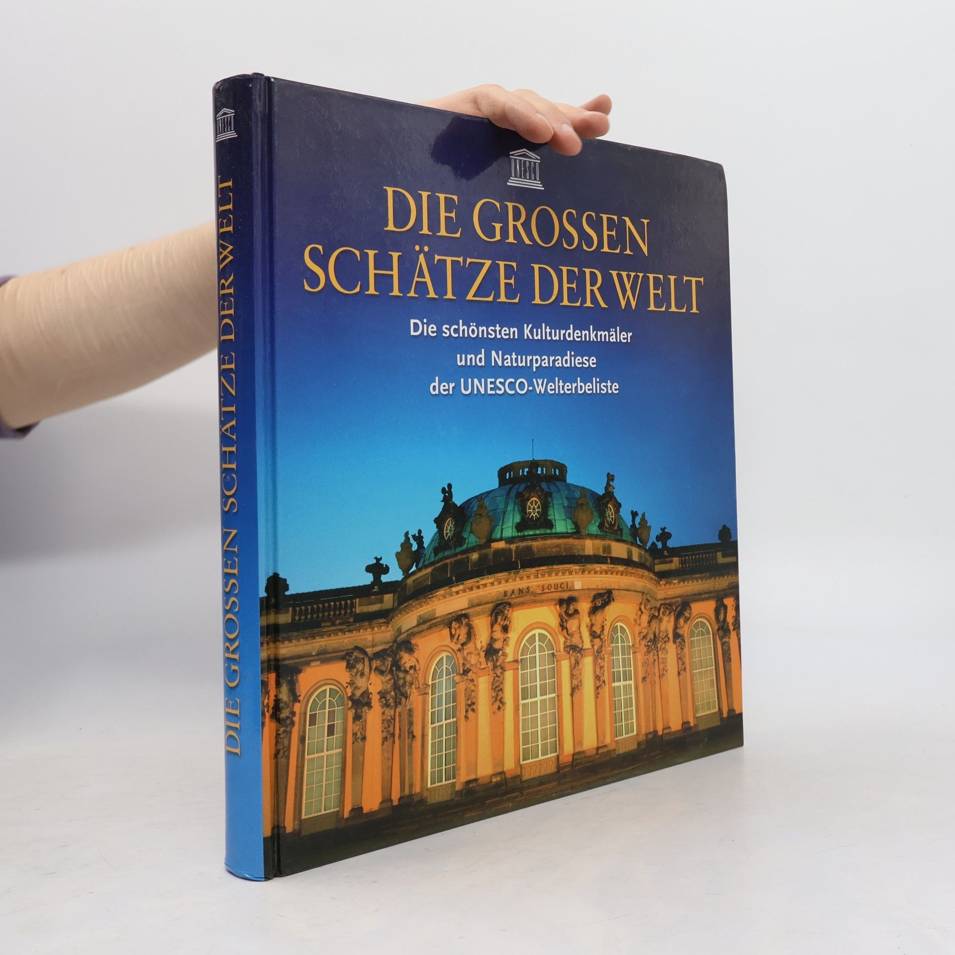 Autorenkollektiv Die Grossen Schätze der Welt
