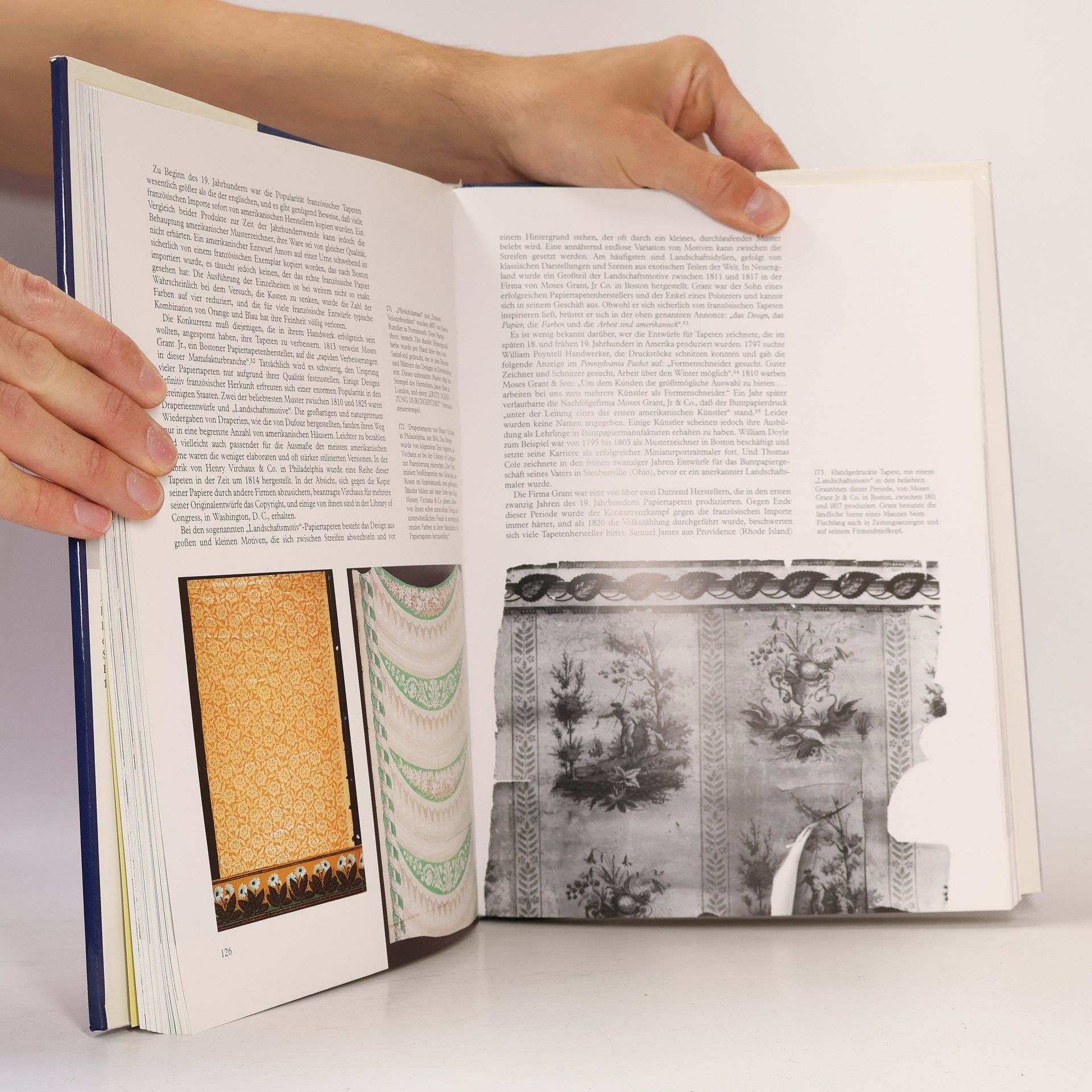 Lesley Hoskins Die Kunst der Tapete