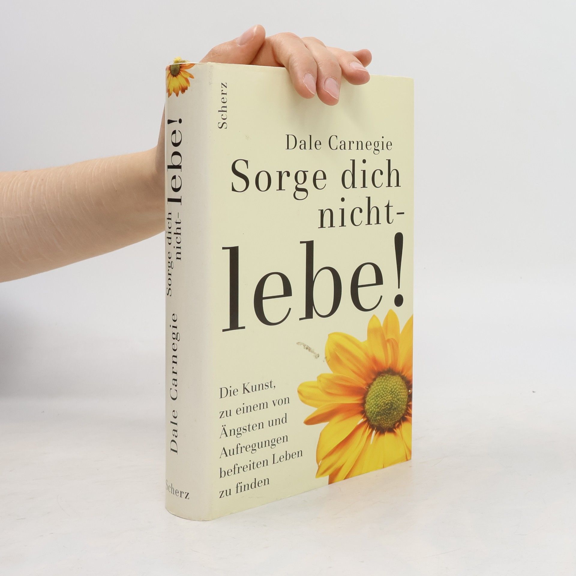 Dale Carnegie Sorge dich nicht - lebe!