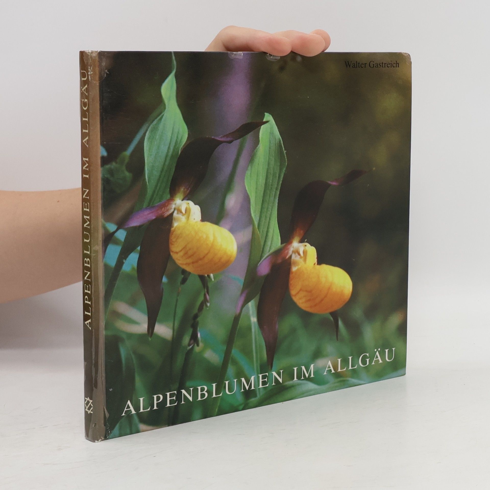 Walter Gastreich Alpenblumen im Allgäu