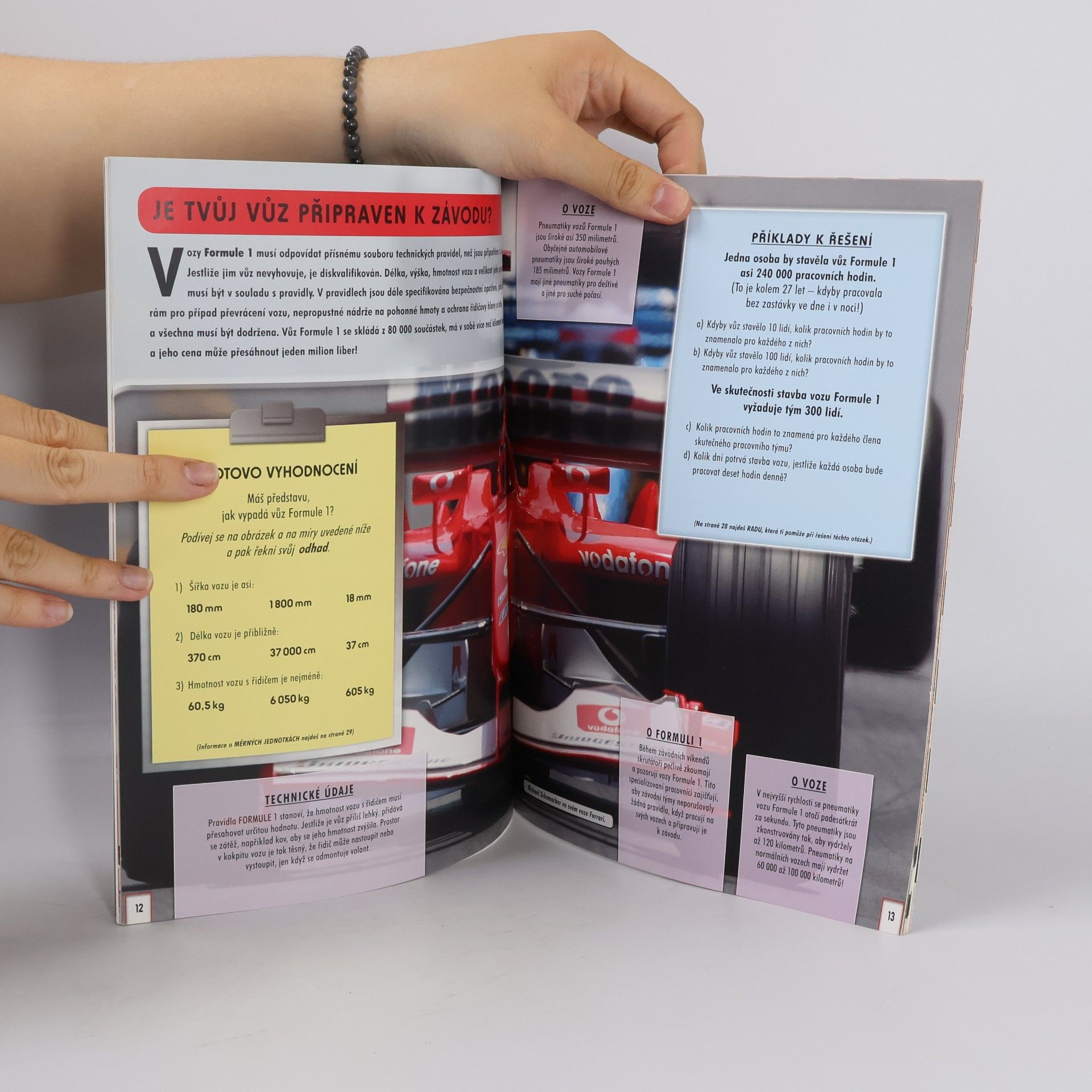 Wendy Clemson Užitečná matematika. Co musí znát pilot Formule 1