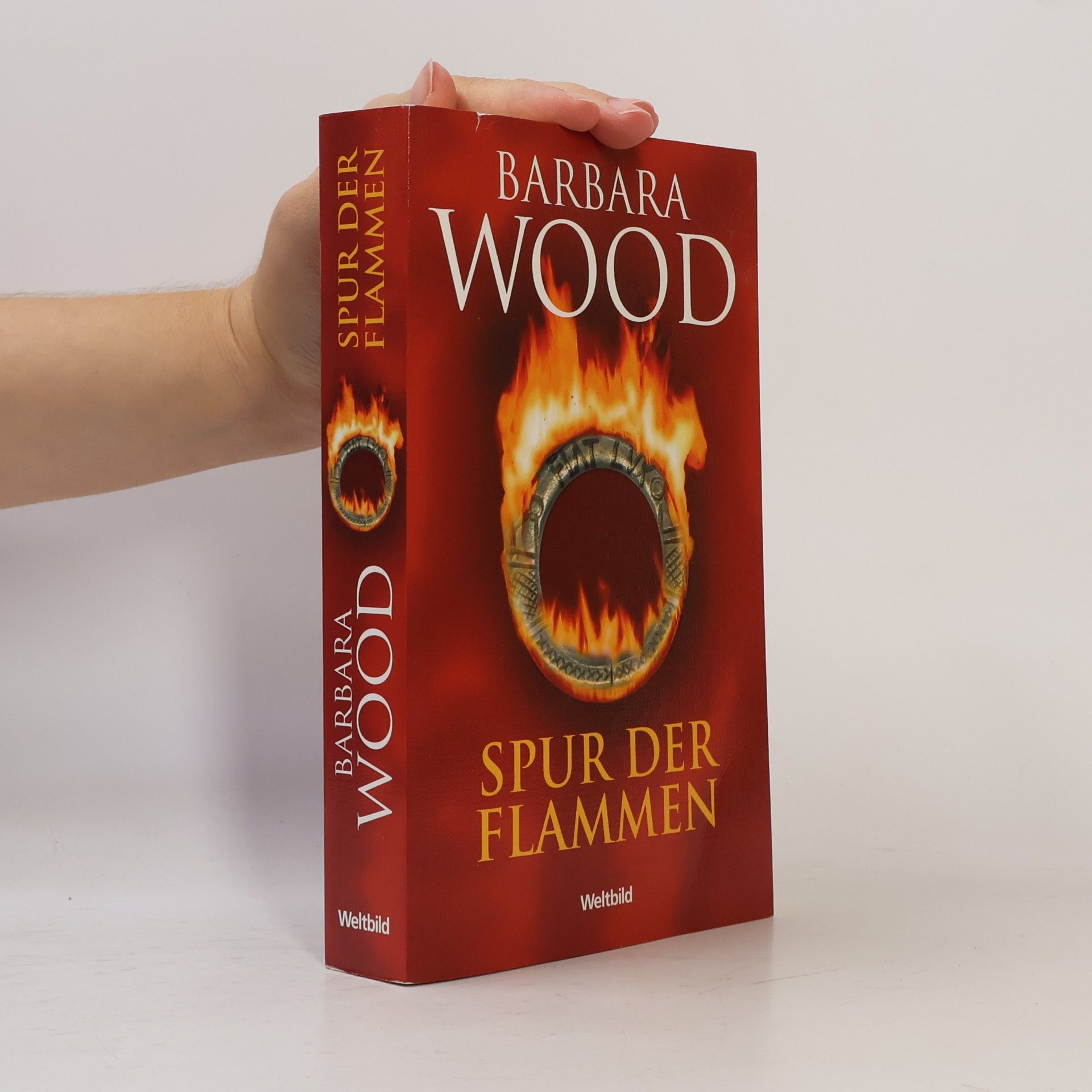 Barbara Wood Spur der Flammen