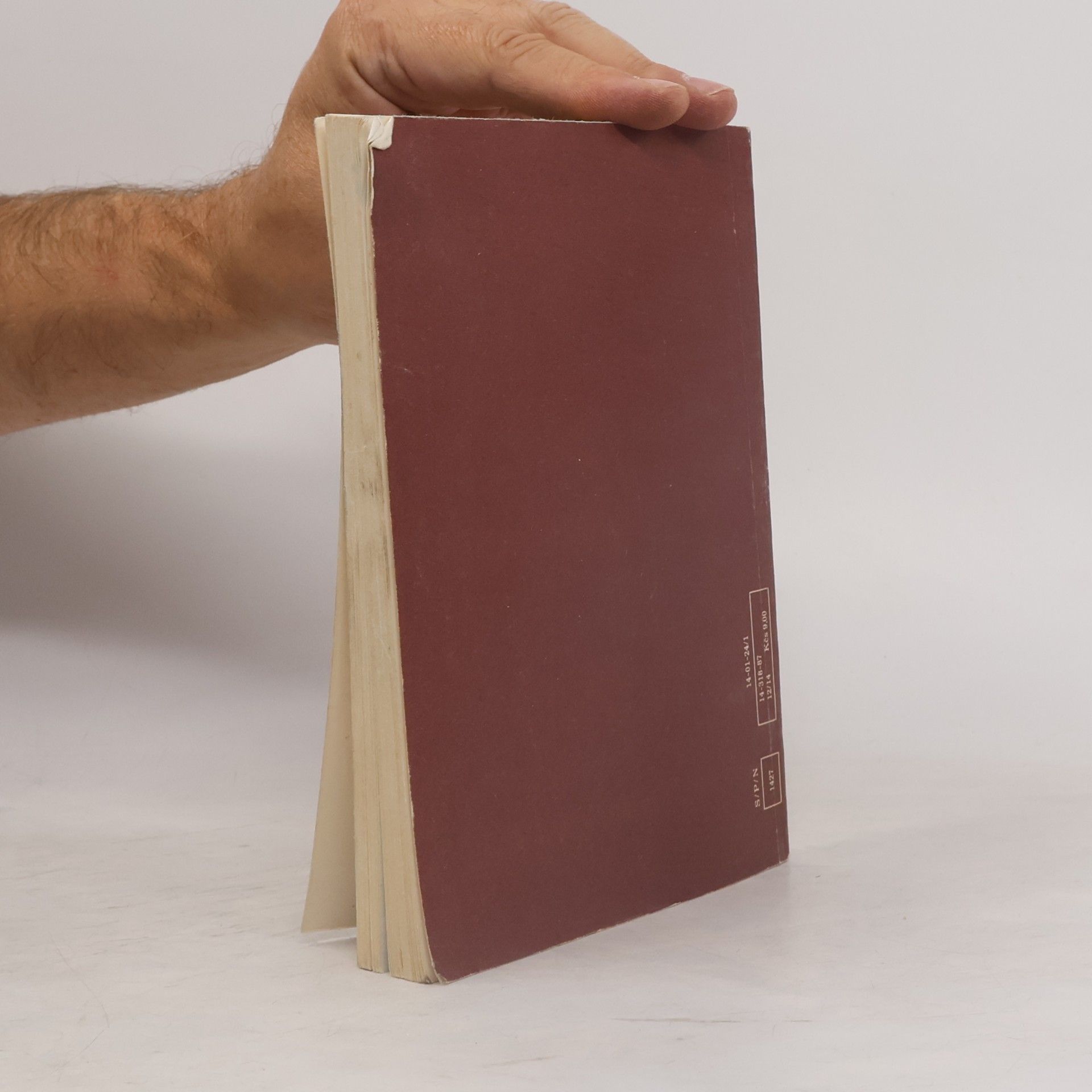 Vítězslav Rzounek Literatura pro IV. ročník středních škol
