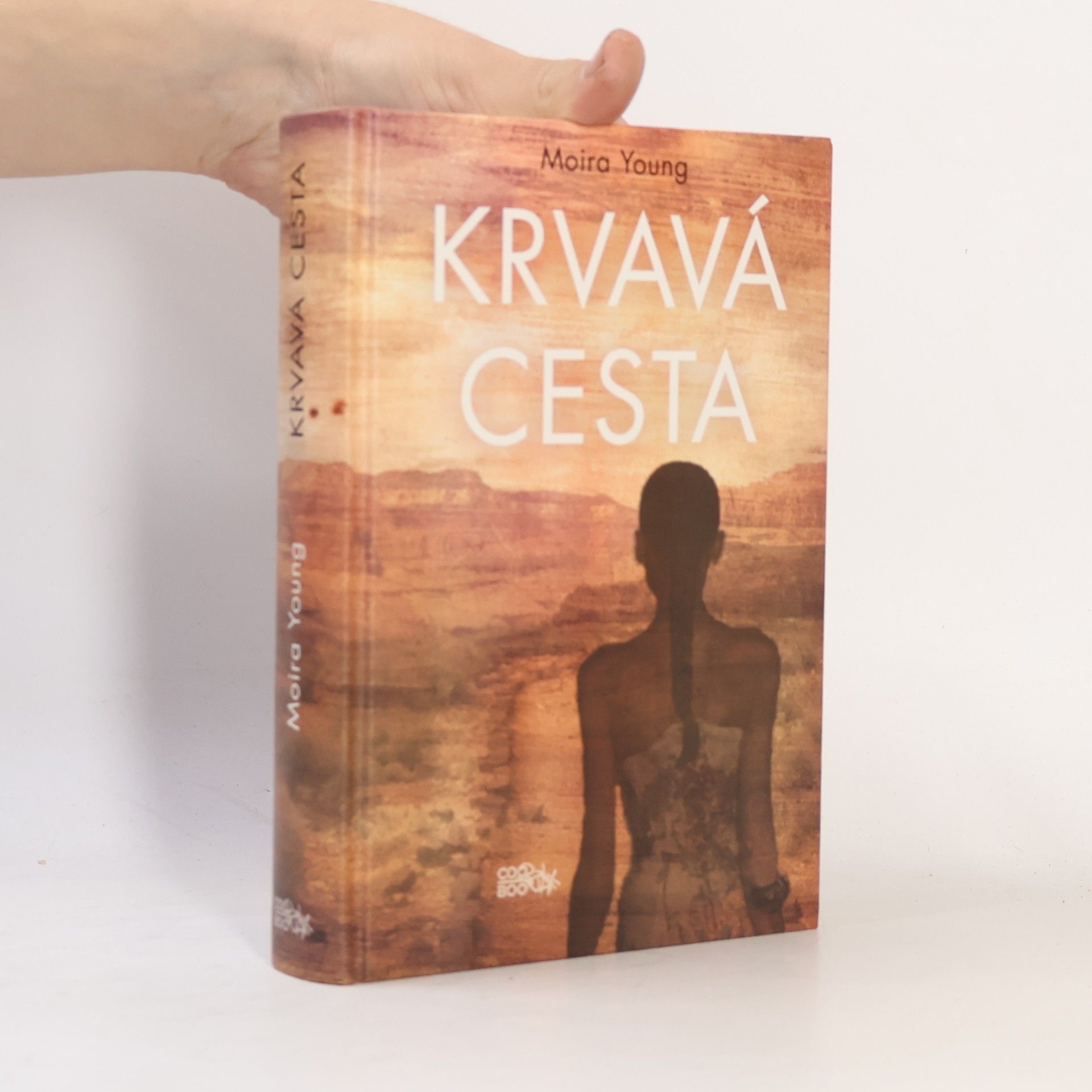 Moira Young Krvavá cesta