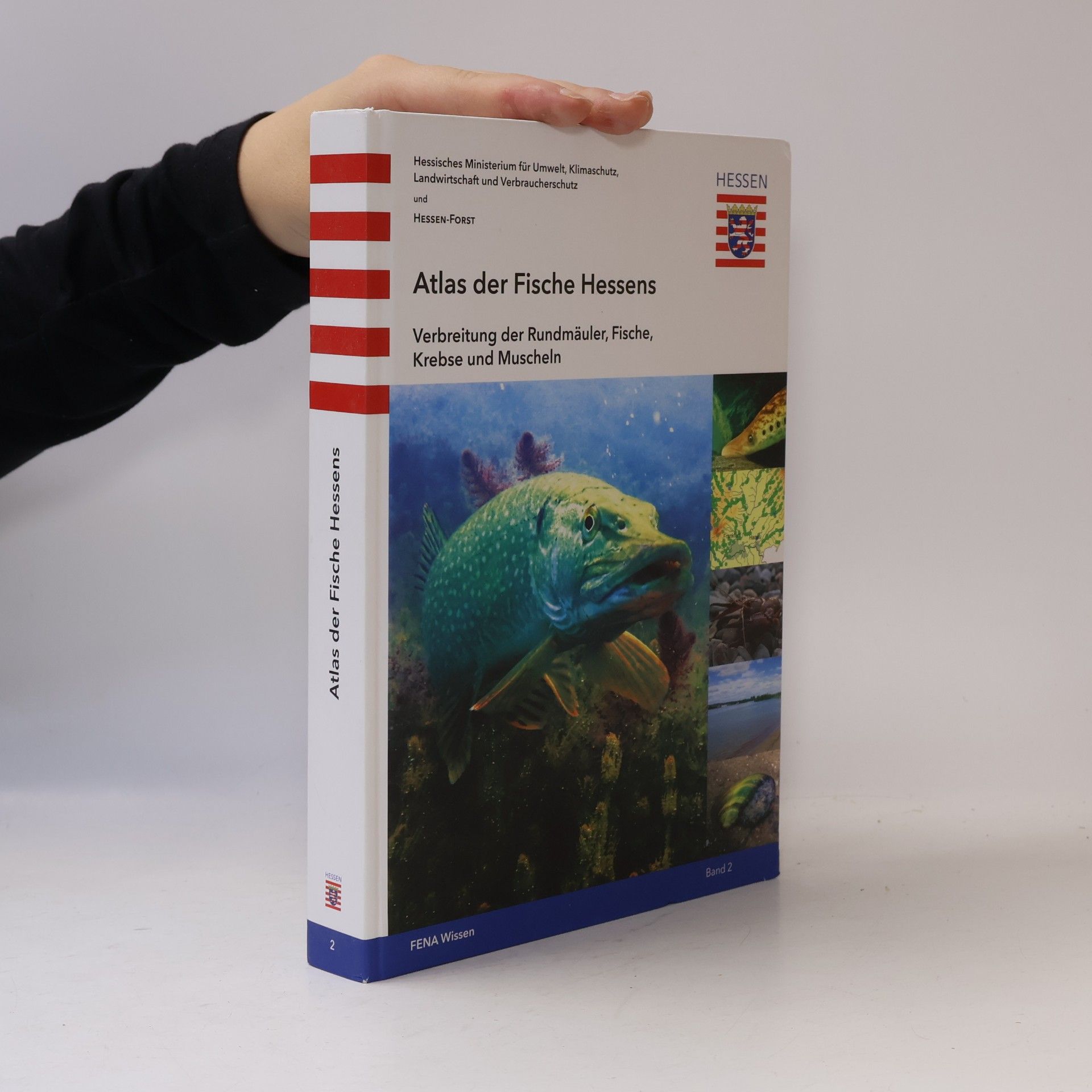 Hessen - 2: Atlas der Fische Hessens