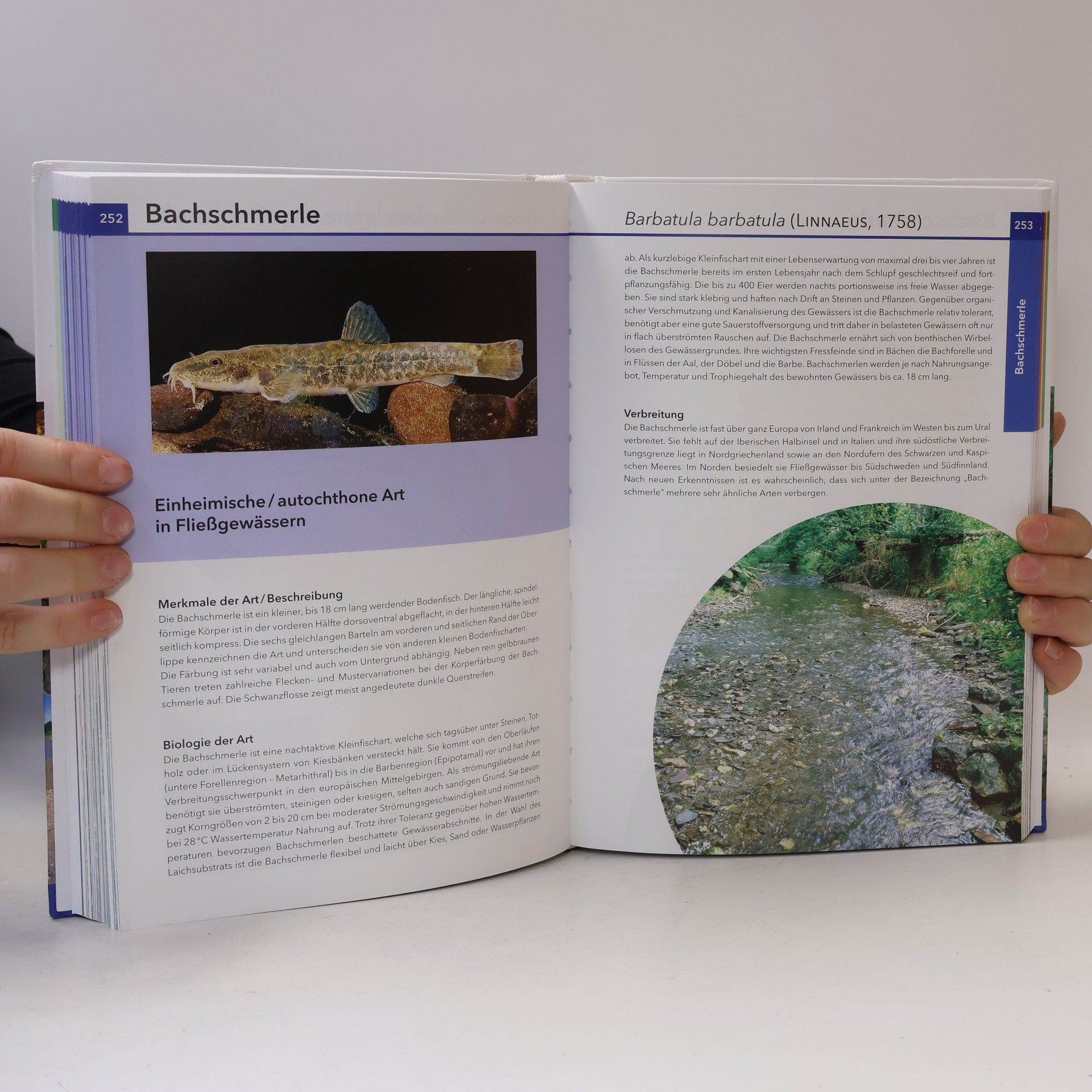 Tanja van den Berghe Hessen - 2: Atlas der Fische Hessens