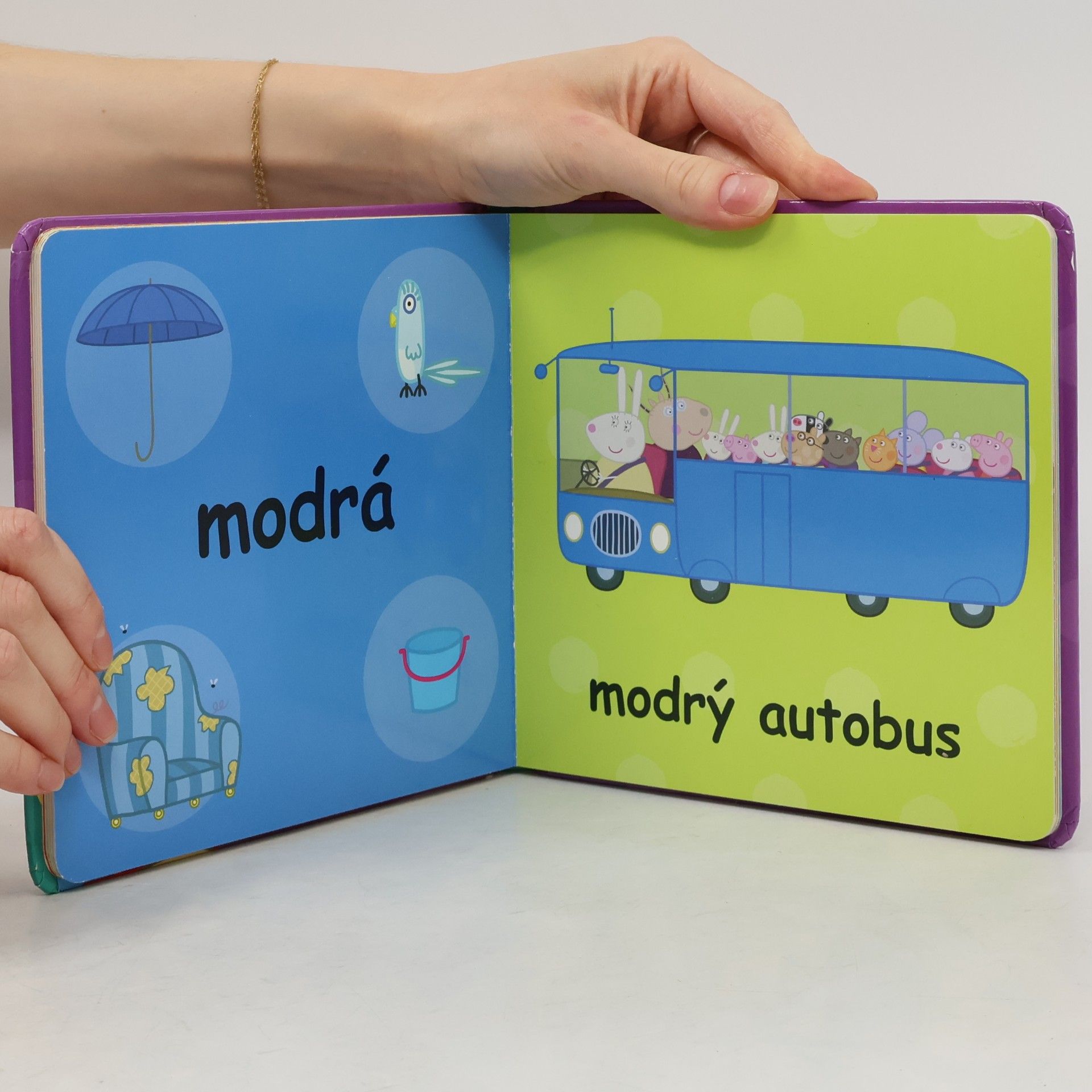 Autorenkollektiv Barvy Peppa Pig - barvy