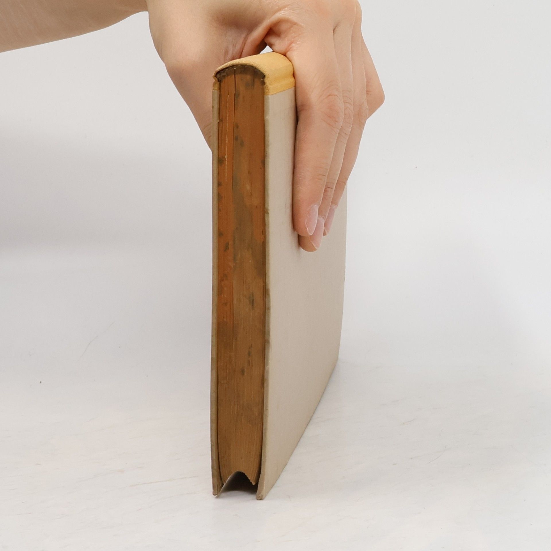 Dr. Hans Goettler Rezeptbuch für Destillateure
