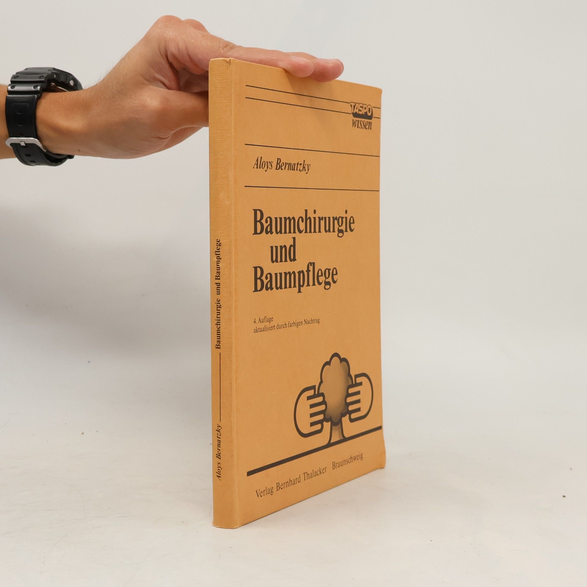 Baumchirurgie und Baumpflege