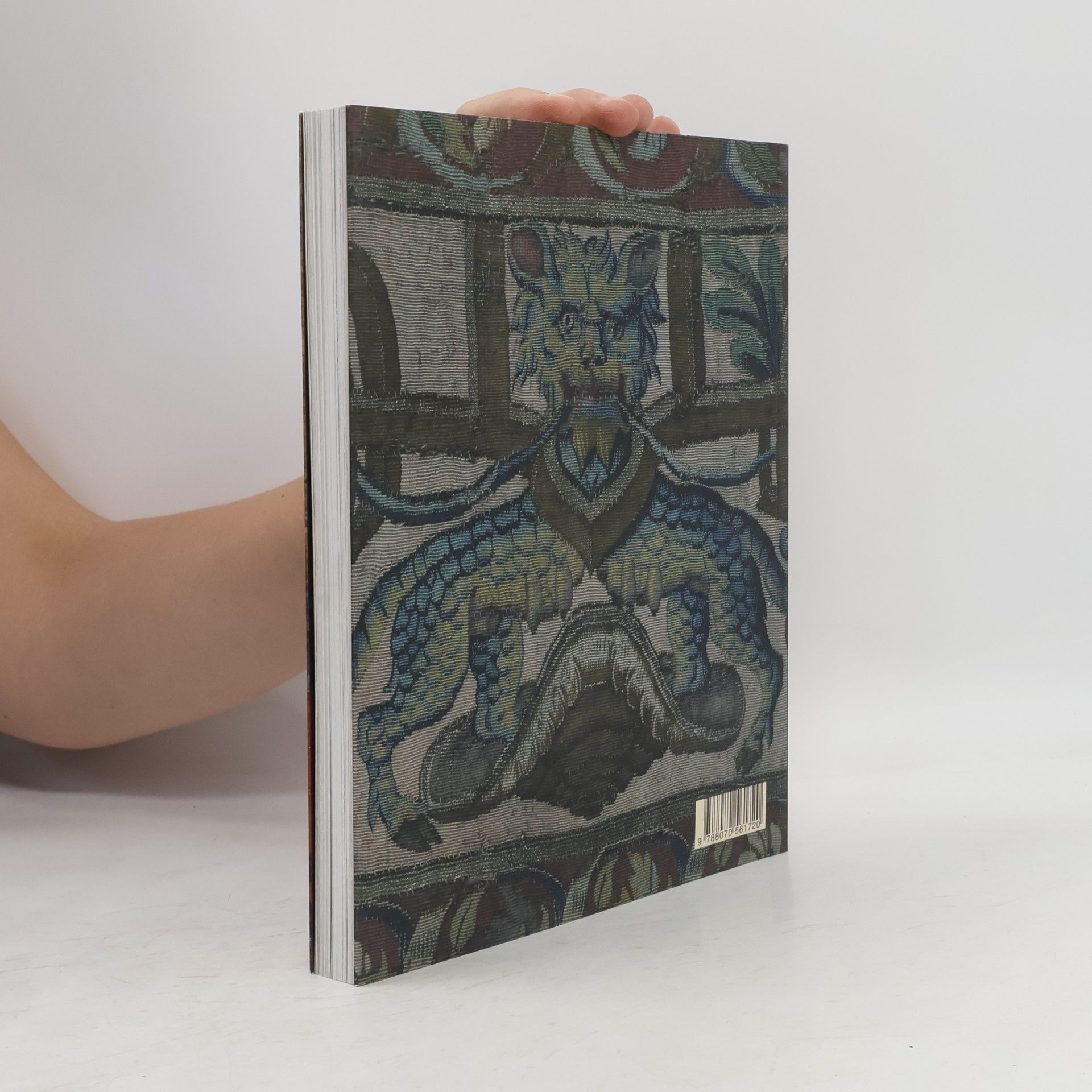 Jiří Fajt Europa Jagellonica 1386-1572 : umění a kultura ve střední Evropě za vlády Jagellonců