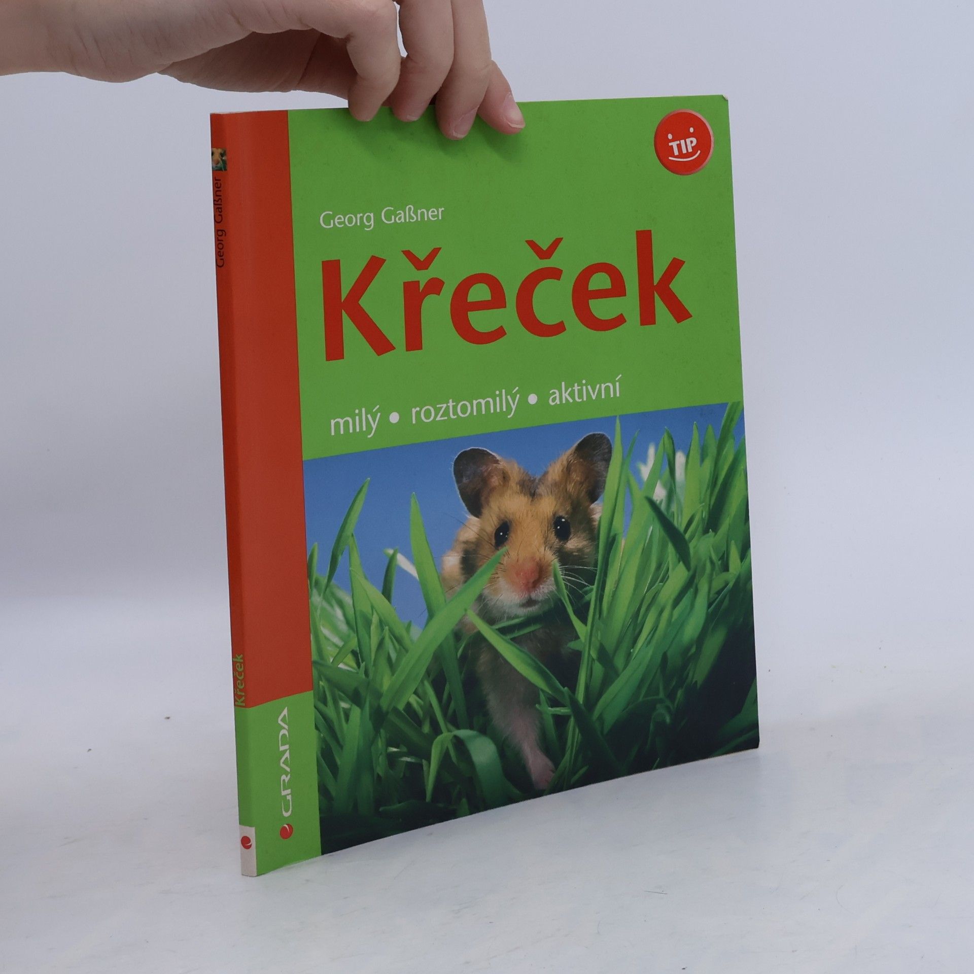 Křeček : milý, roztomilý, aktivní