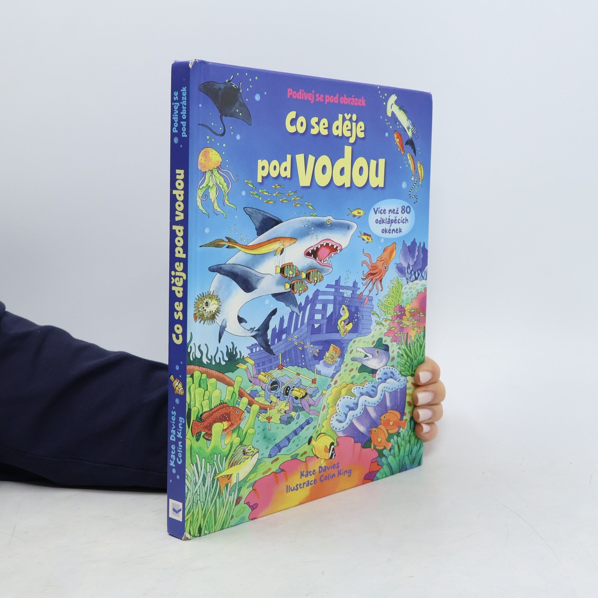 Kate Davies Co se děje pod vodou : podívej se pod obrázek : více než 80 odklápěcích okének