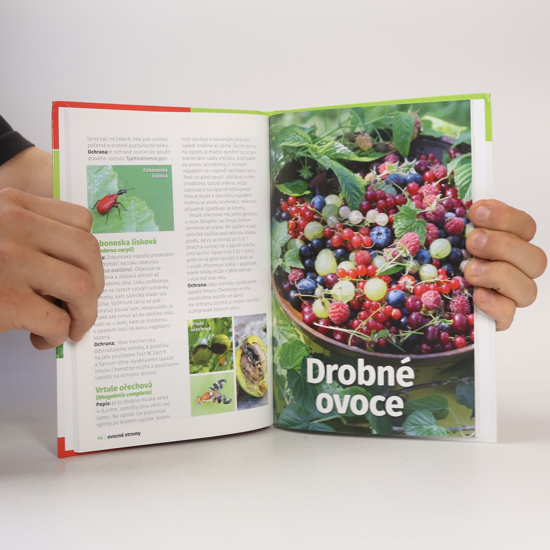 Autores varios Edice Receptář. Choroby a škůdci 2.