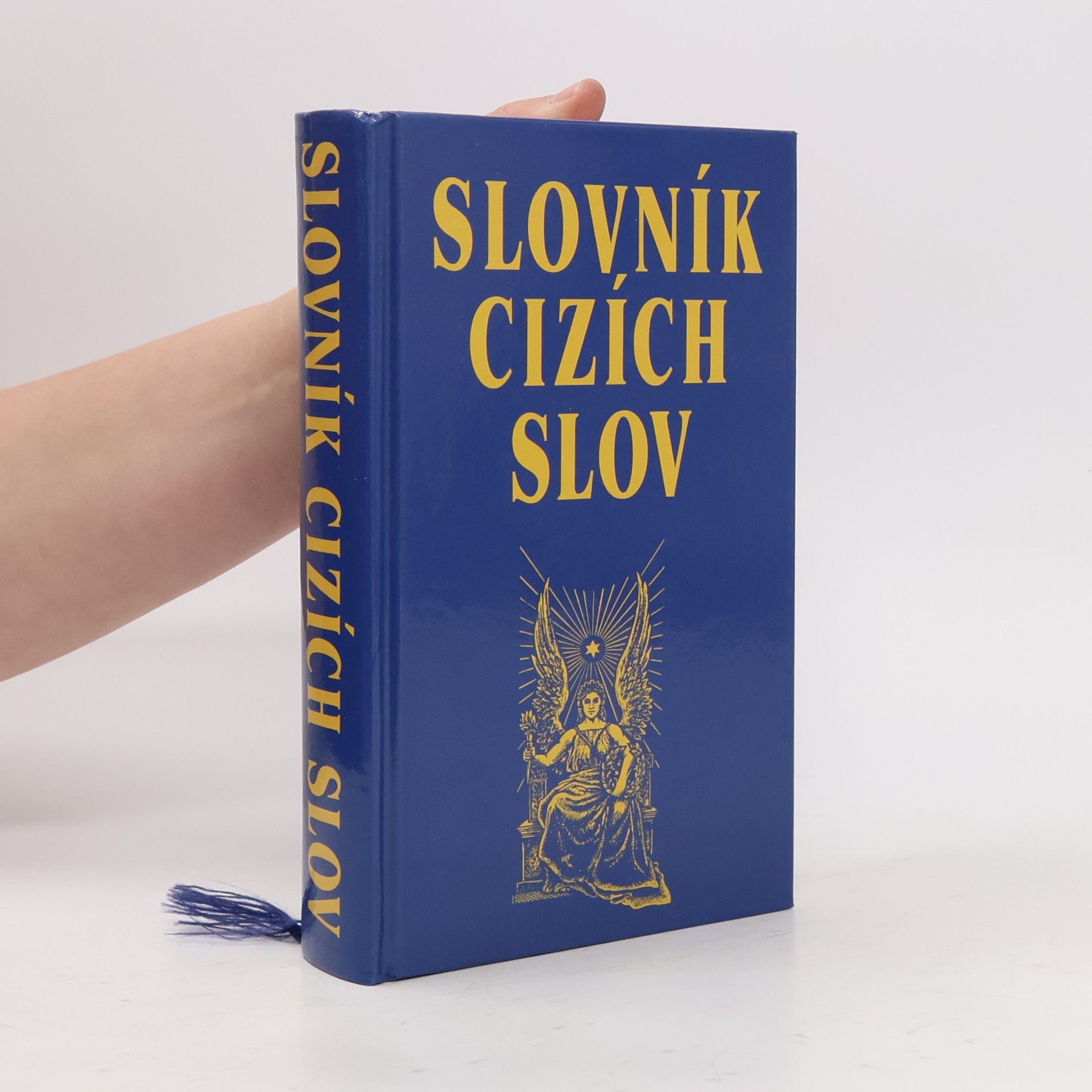 Autorenkollektiv Slovník cizích slov