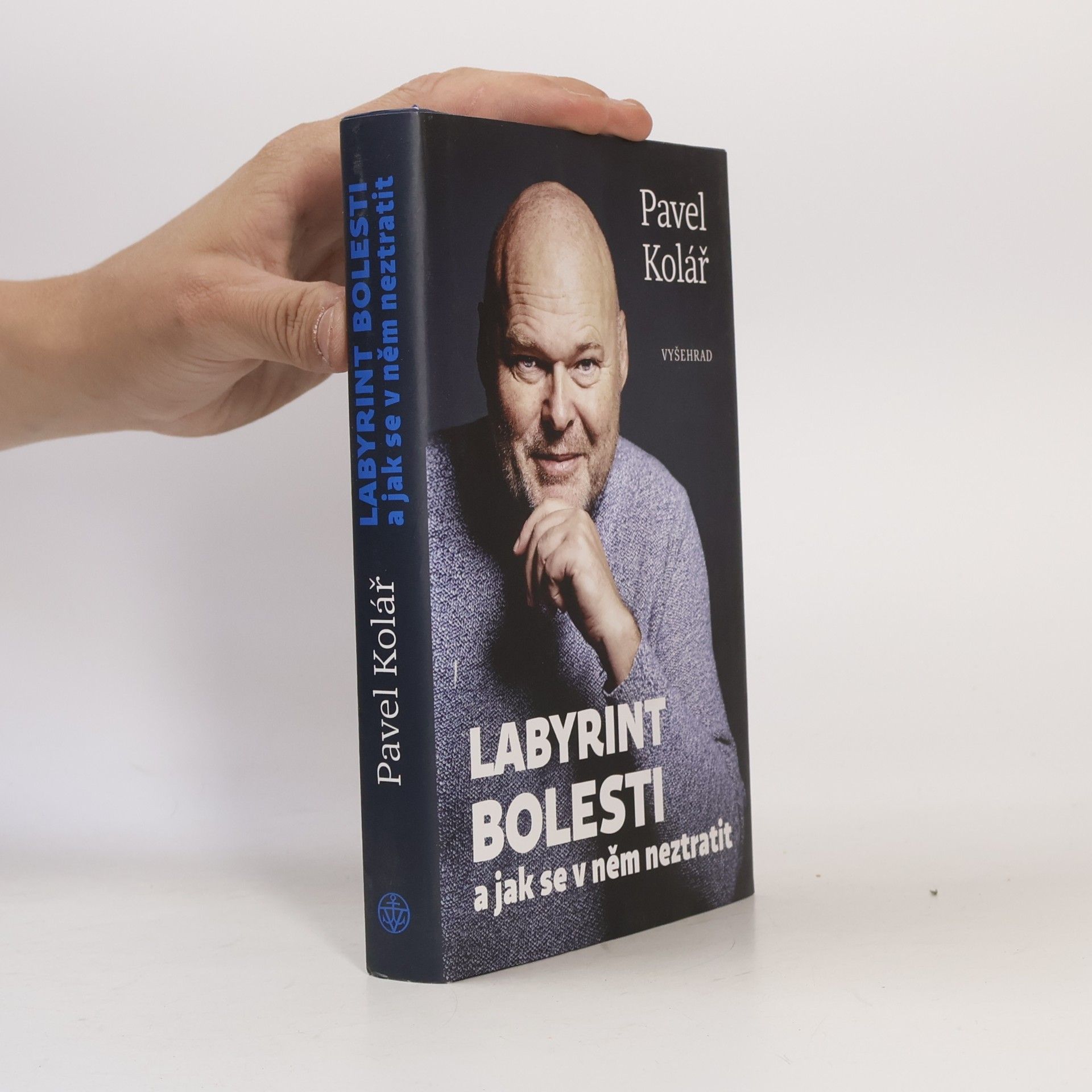 Pavel Kolář Labyrint bolesti a jak se v něm neztratit