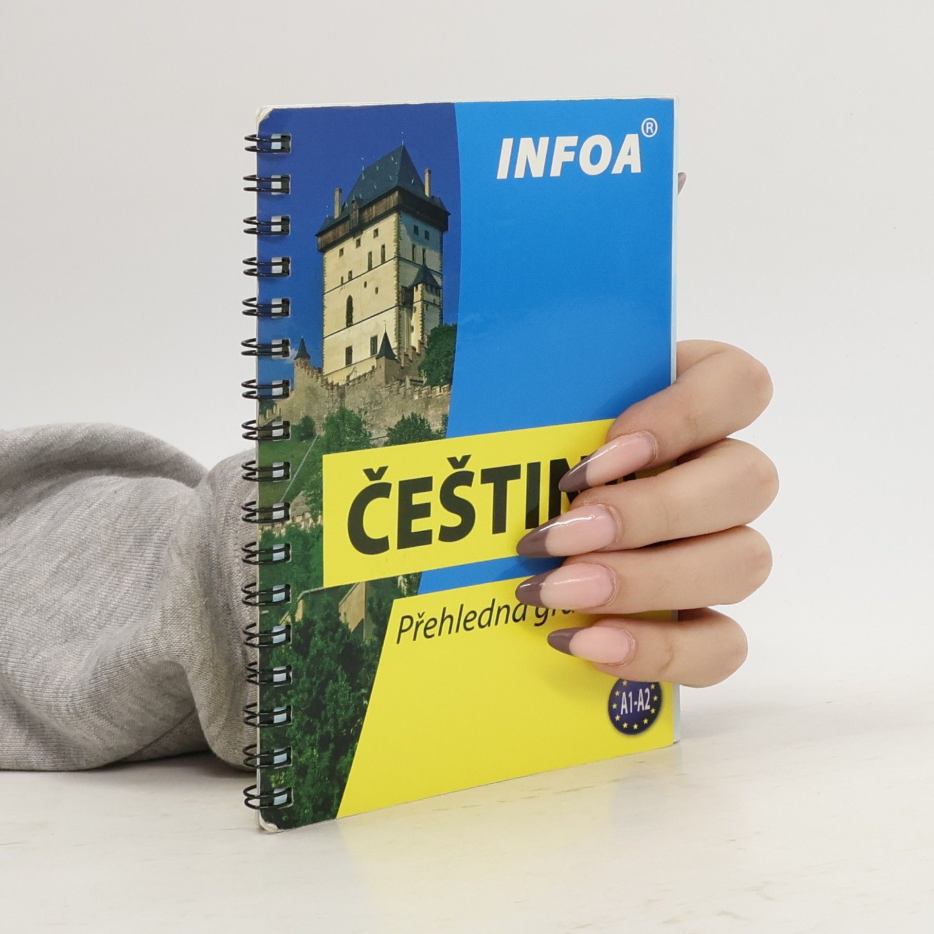Collectif d'auteurs Čeština : přehledná gramatika