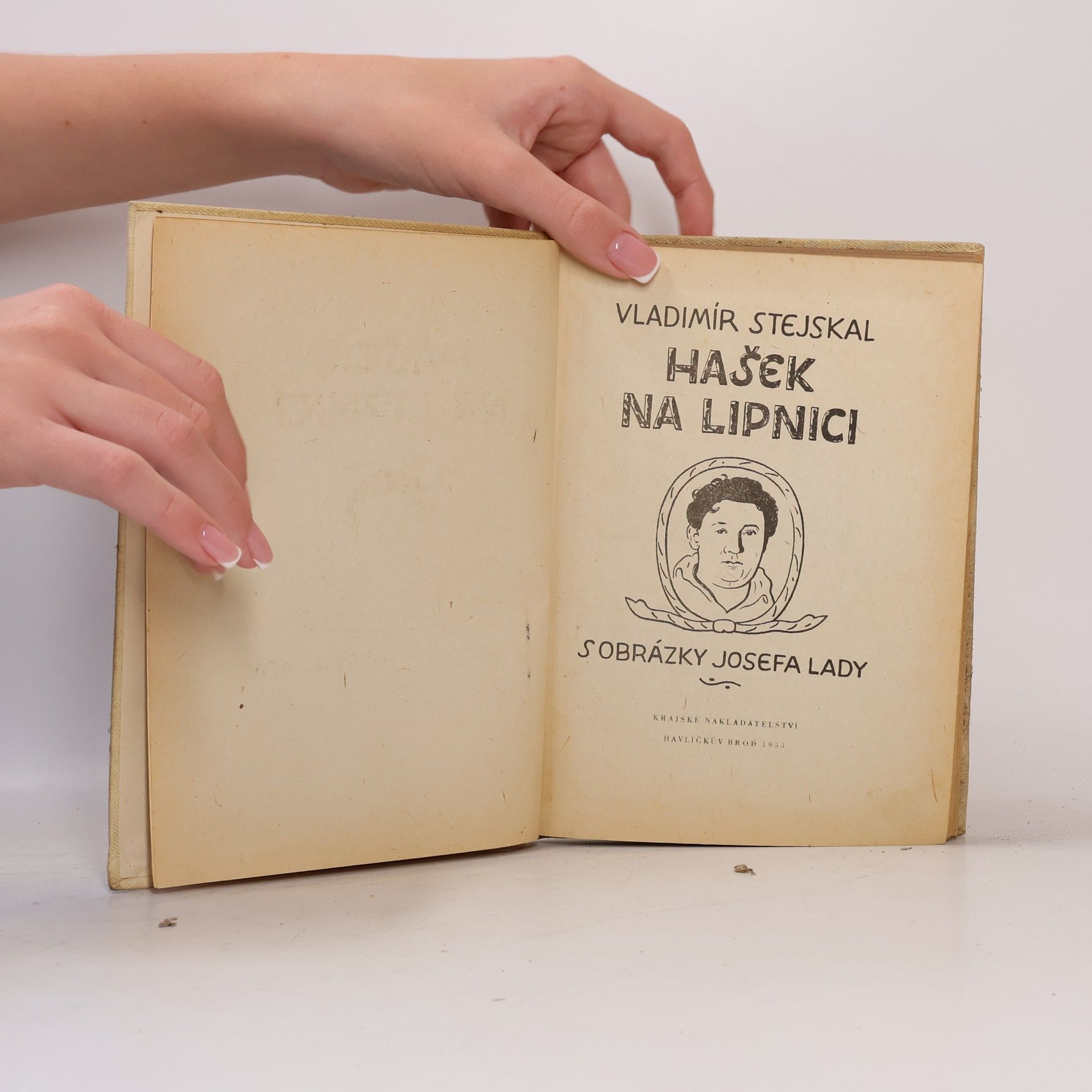 Vladimír Stejskal Hašek na Lipnici