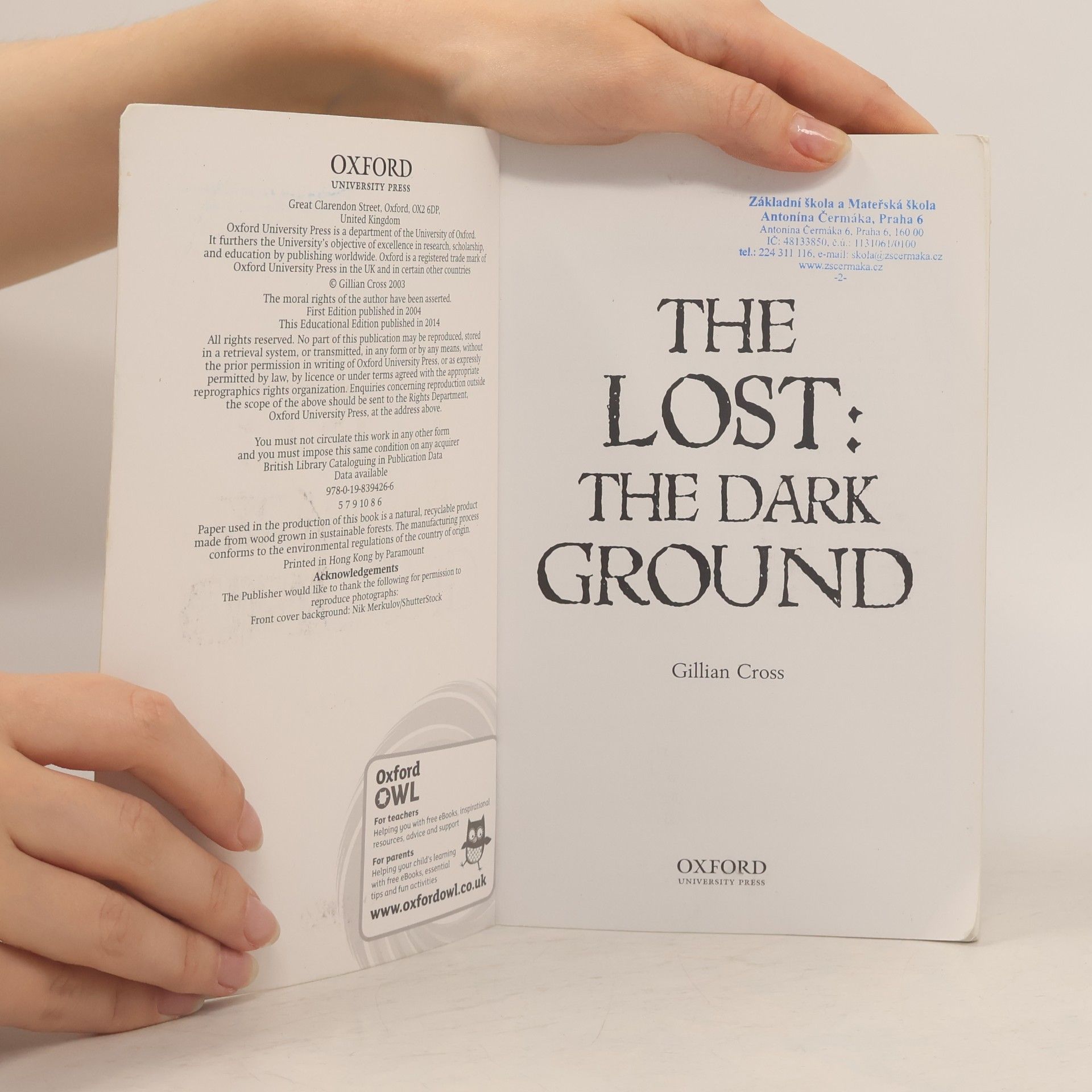 Gillian Cross Project X Origins: Dark Red+ Book Band, Oxford Level 19: Fears And Frights: The Lost: The Dark Ground