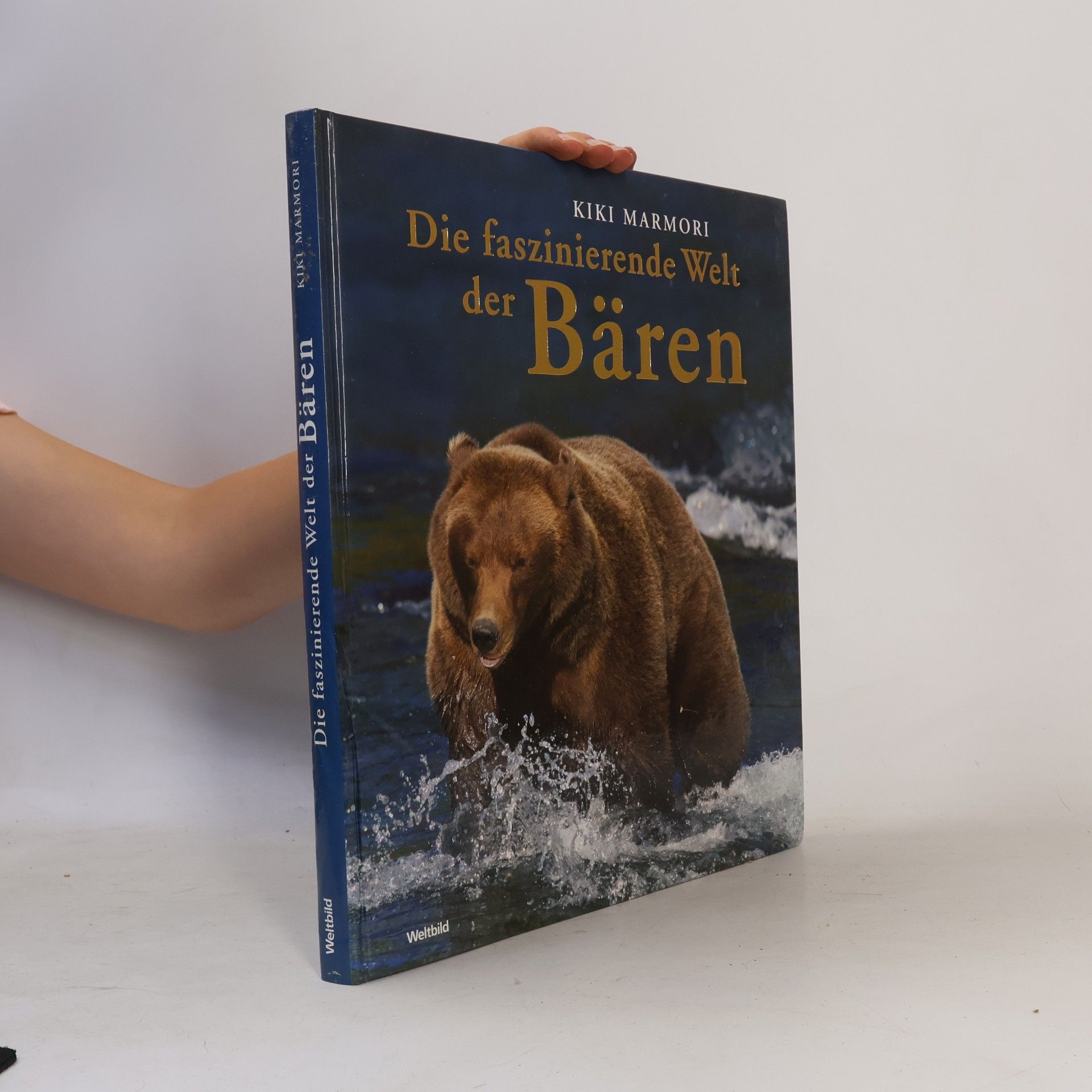 Kiki Marmori Die faszinierende Welt der Bären