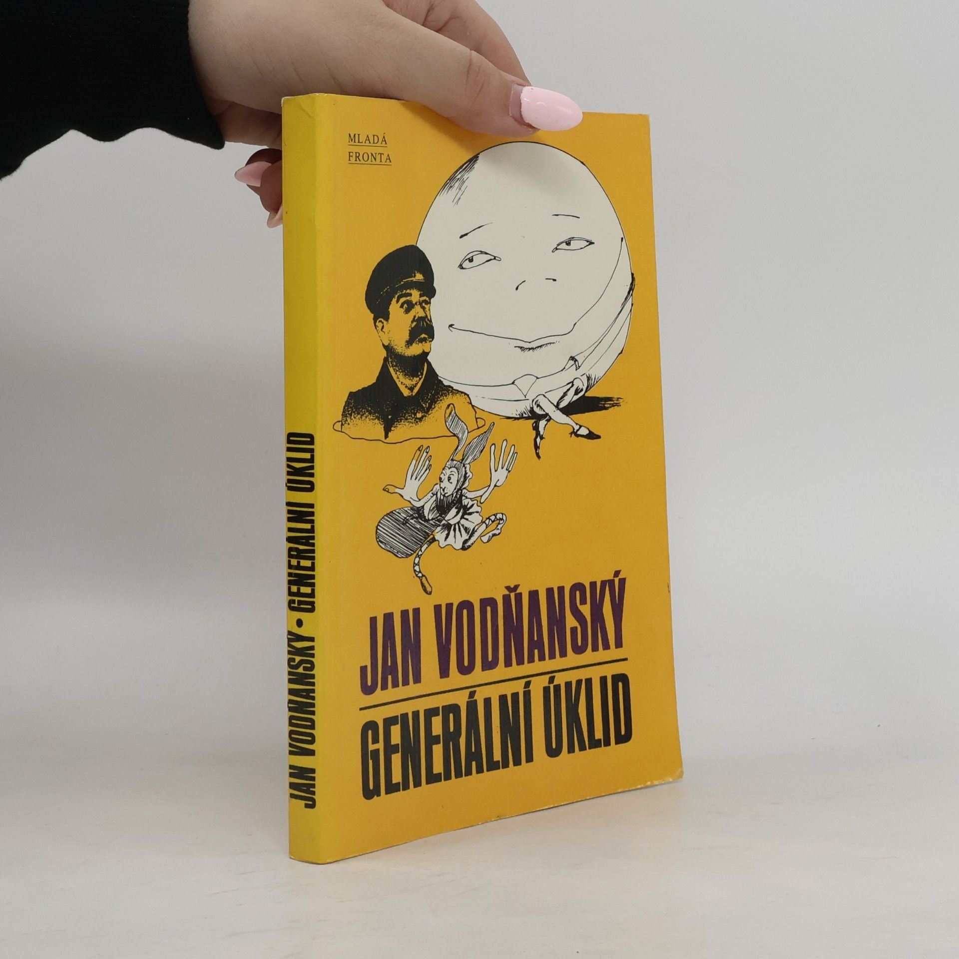 Generální úklid