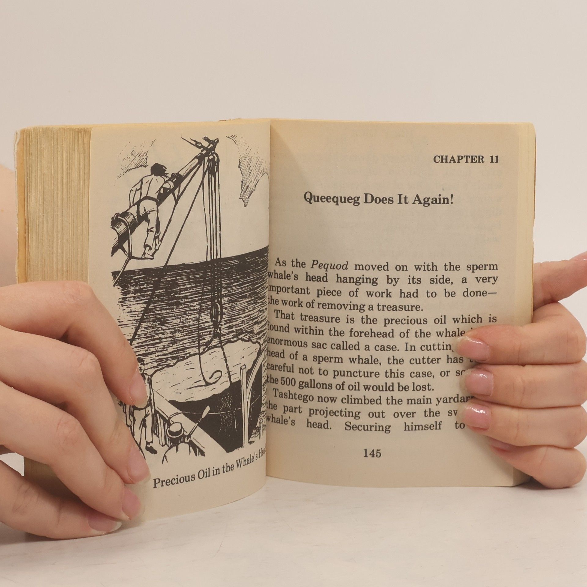 Herman Melville Moby Dick