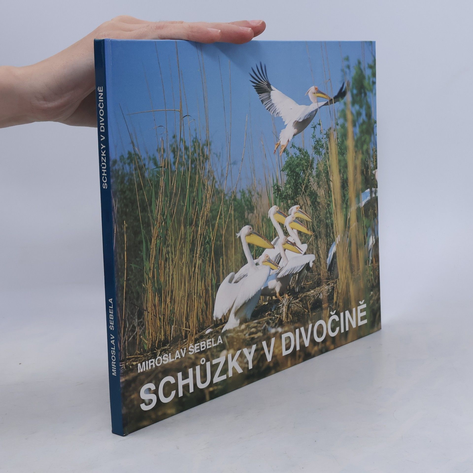 Schůzky v divočině
