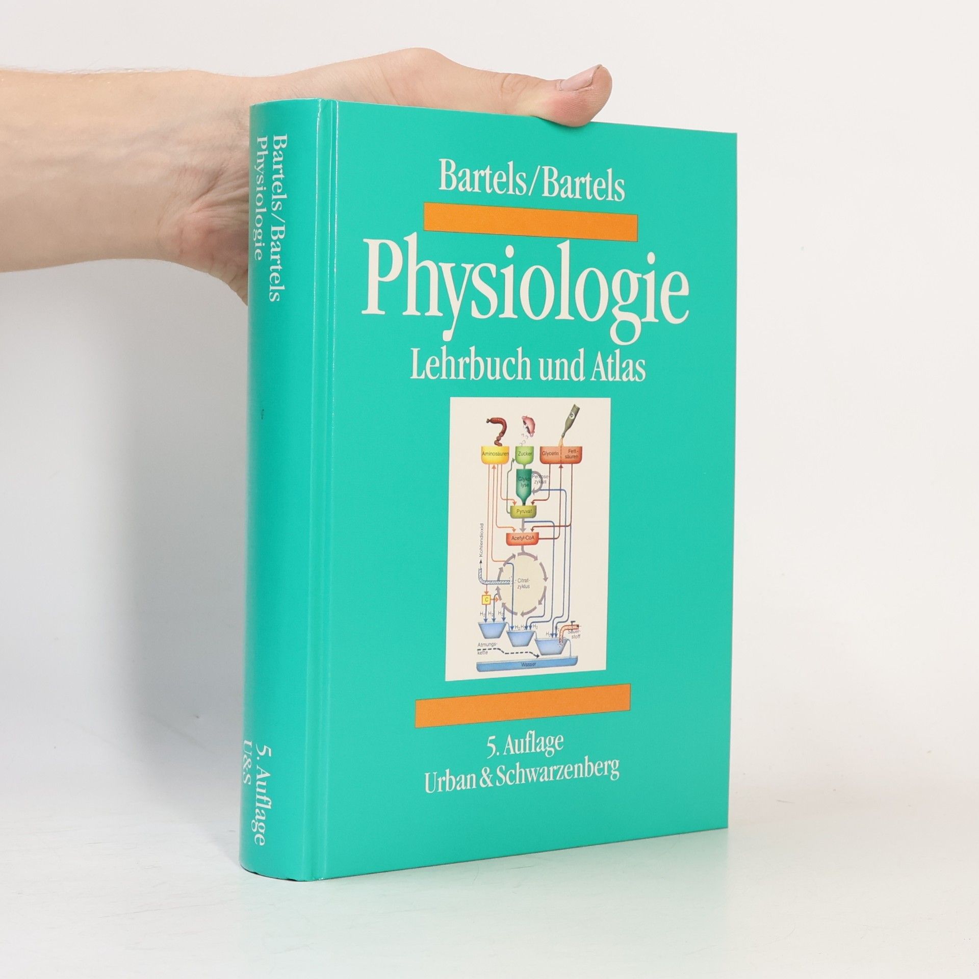 Heinz Bartels Physiologie