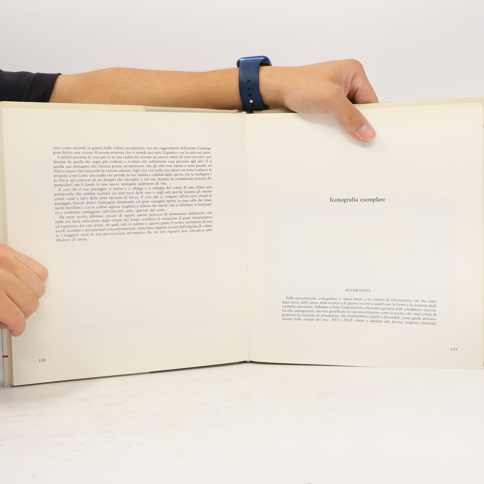 Aldo Chemelli Patrimonio storico e artistico del Trentino - 13: Trento nelle stampe d'arte