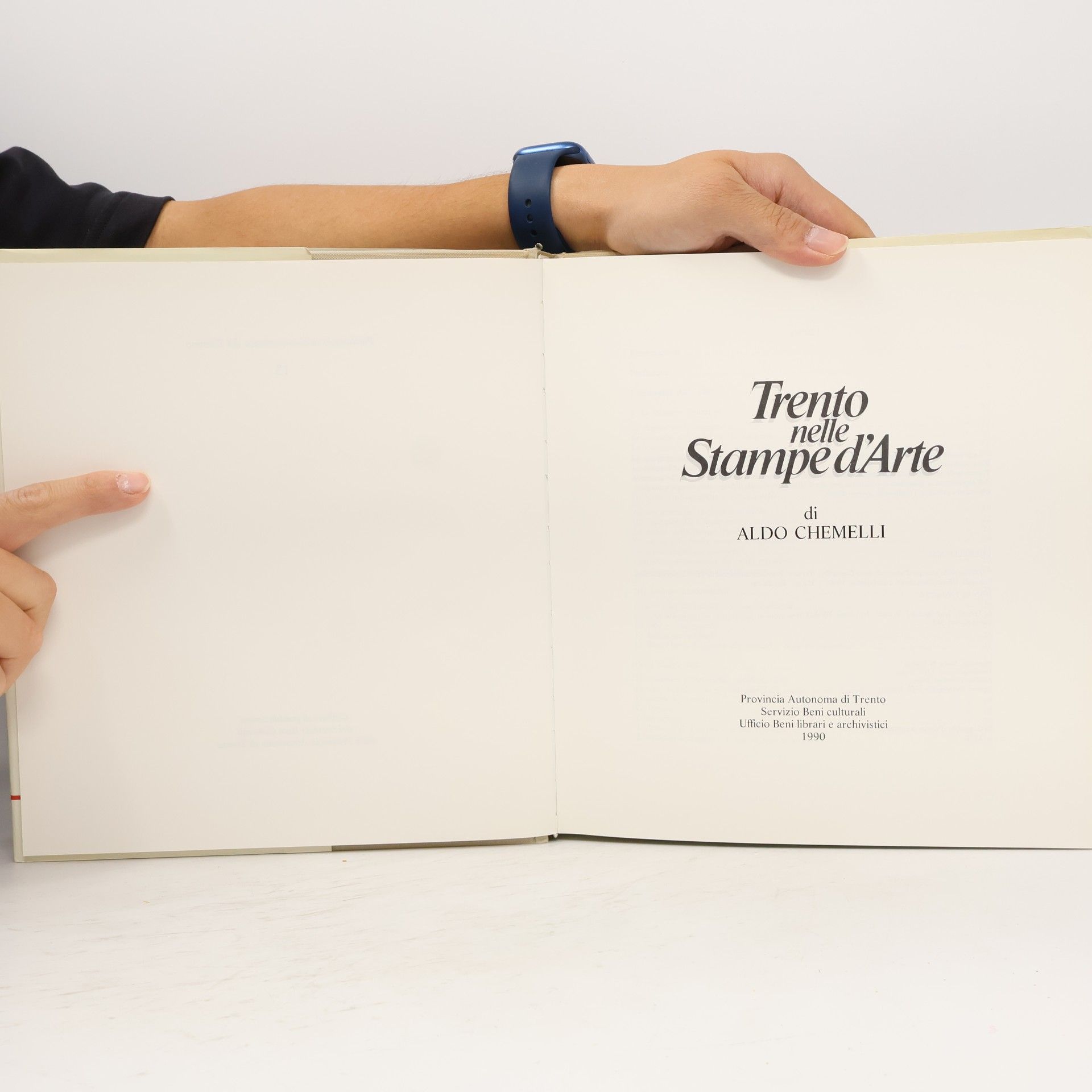 Aldo Chemelli Patrimonio storico e artistico del Trentino - 13: Trento nelle stampe d'arte