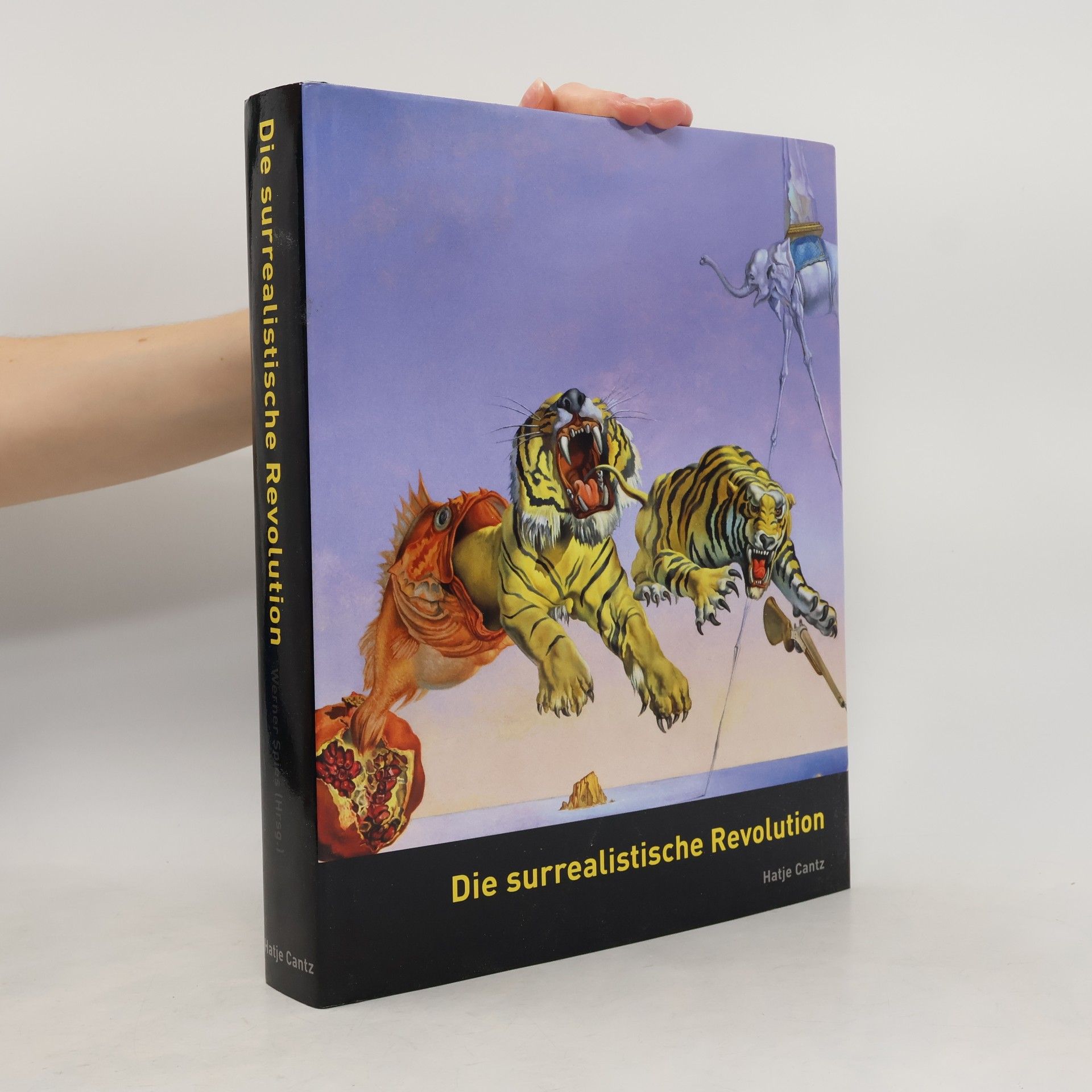 Werner Spies Die surrealistische Revolution