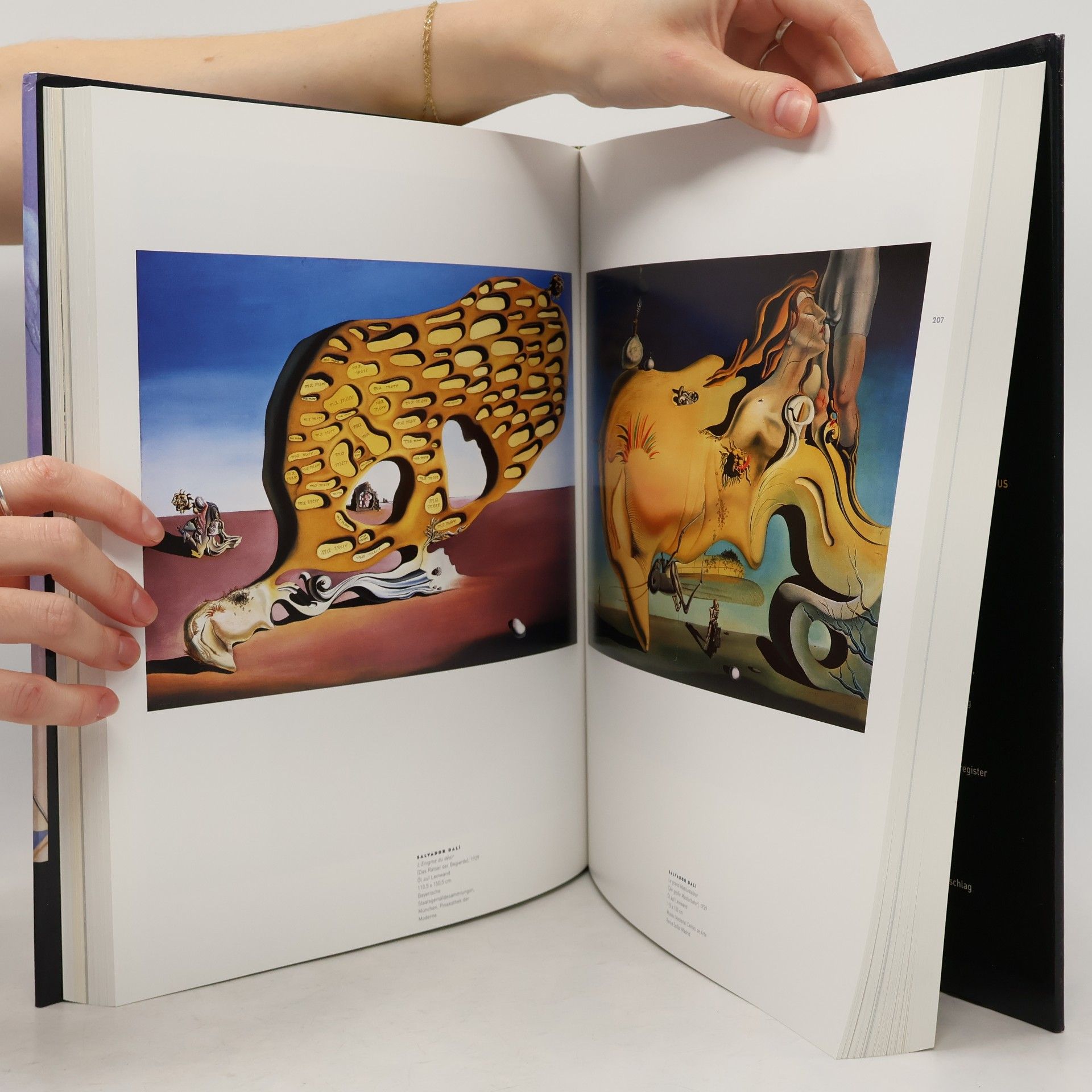 Werner Spies Die surrealistische Revolution