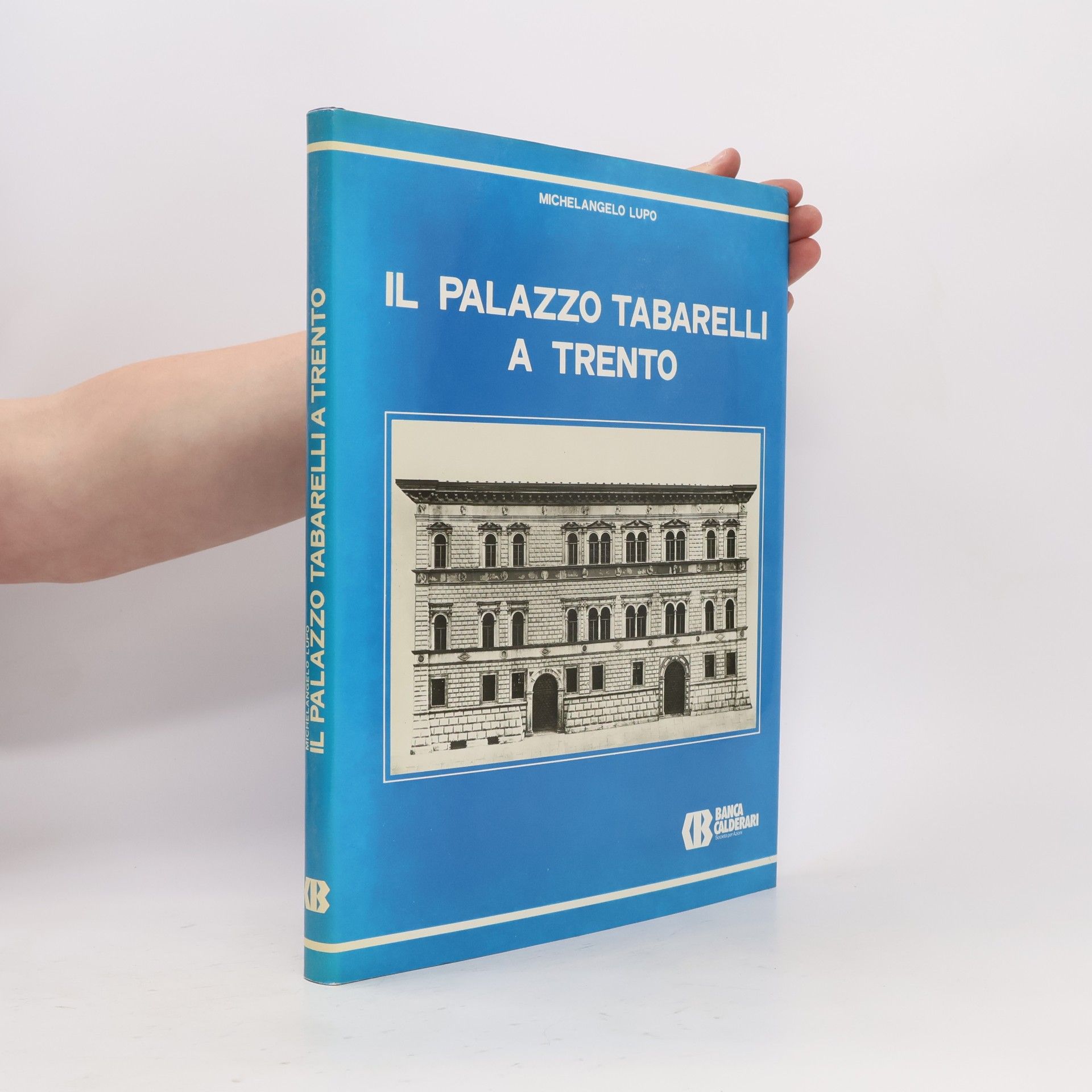 Michelangelo Lupo Il Palazzo Tabarelli a Trento